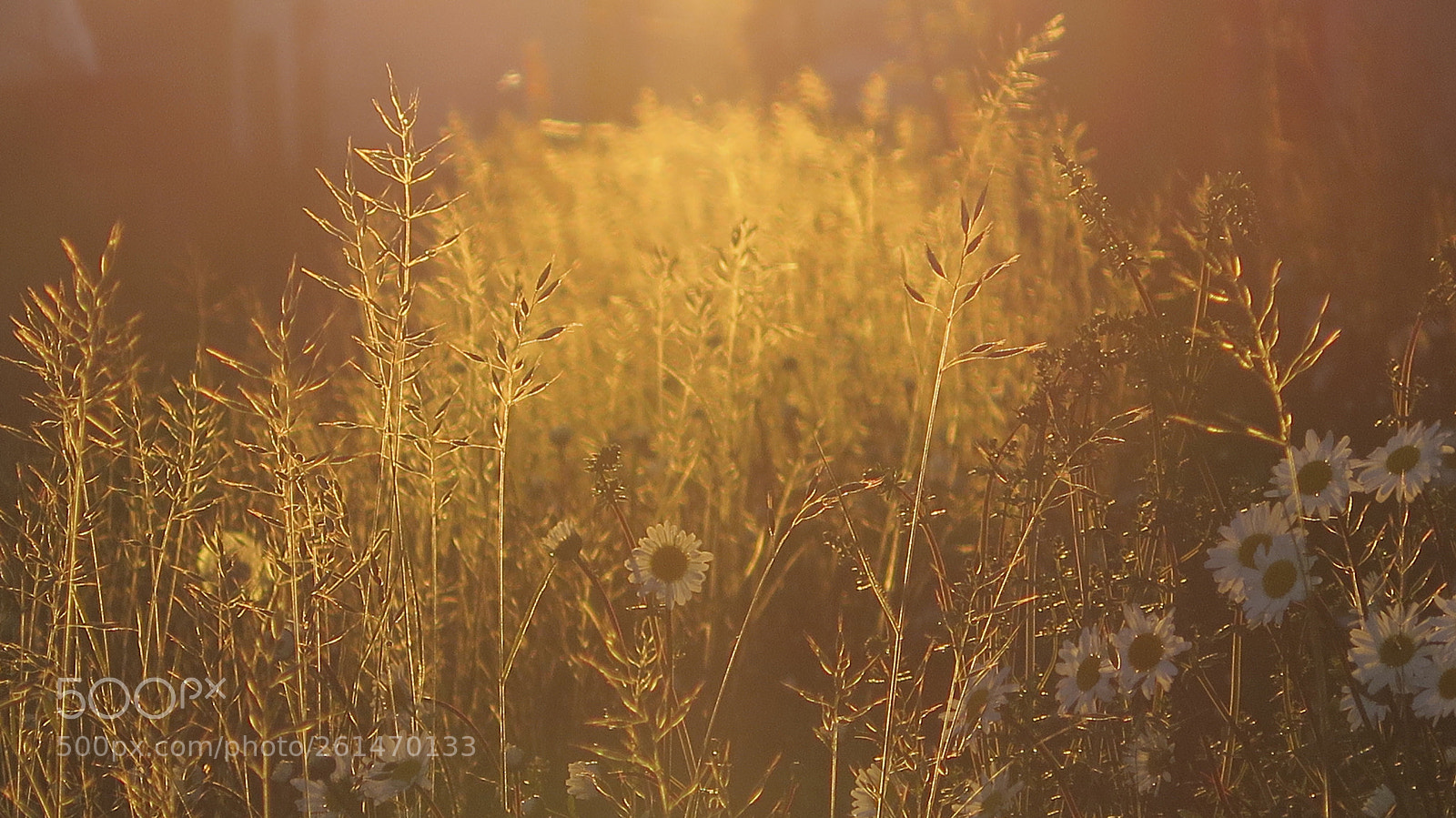 Canon PowerShot G16 sample photo. Golden hour photography