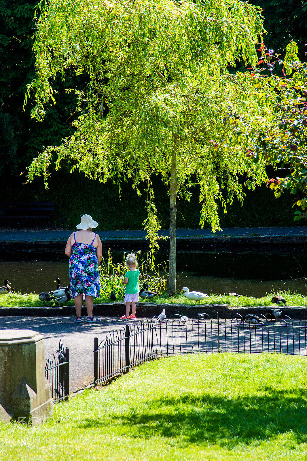 Nikon D7200 sample photo. Feeding the birds photography