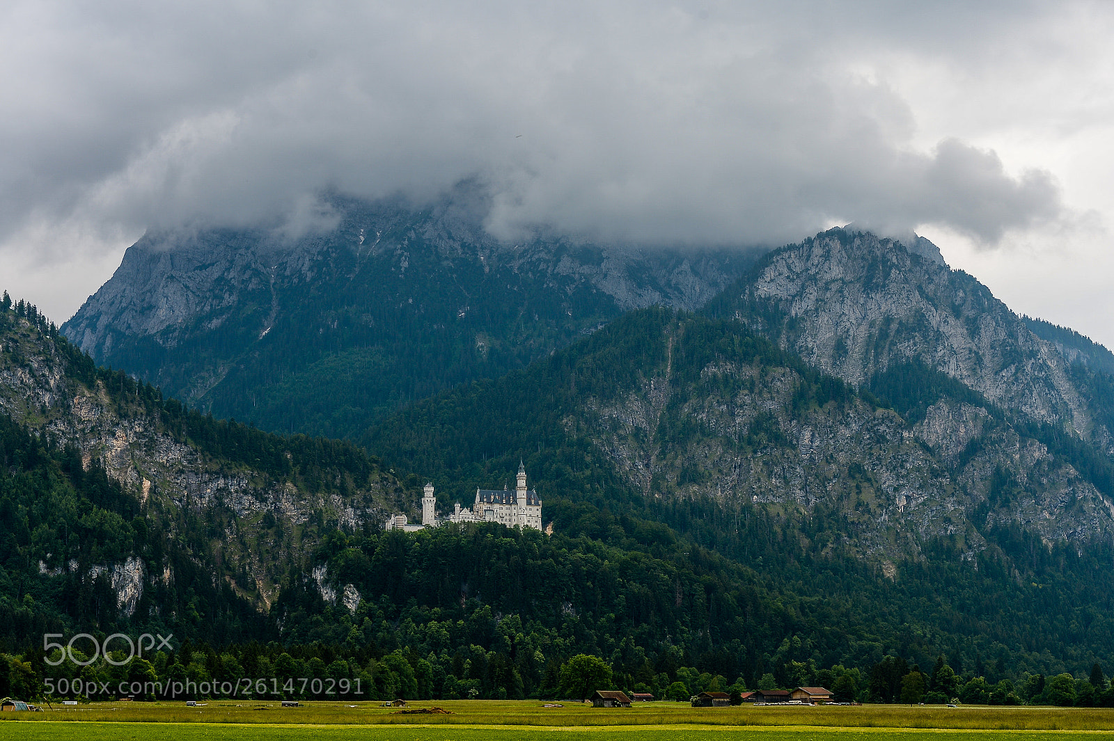 Nikon D4 sample photo. Neuschwanstein castle : bavaria : germany photography
