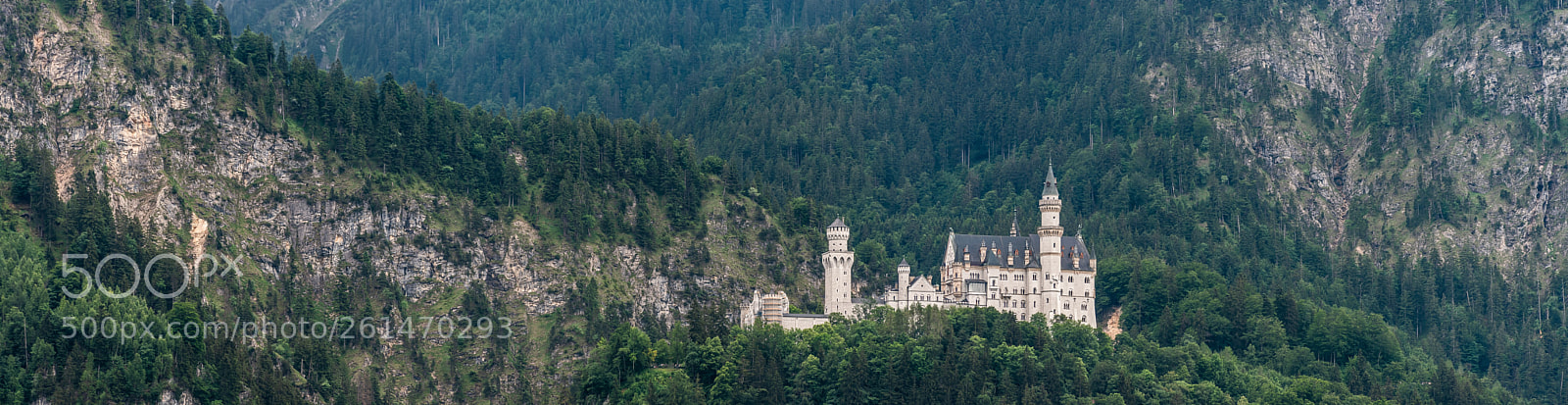 Nikon D4 sample photo. Neuschwanstein castle : bavaria : germany photography