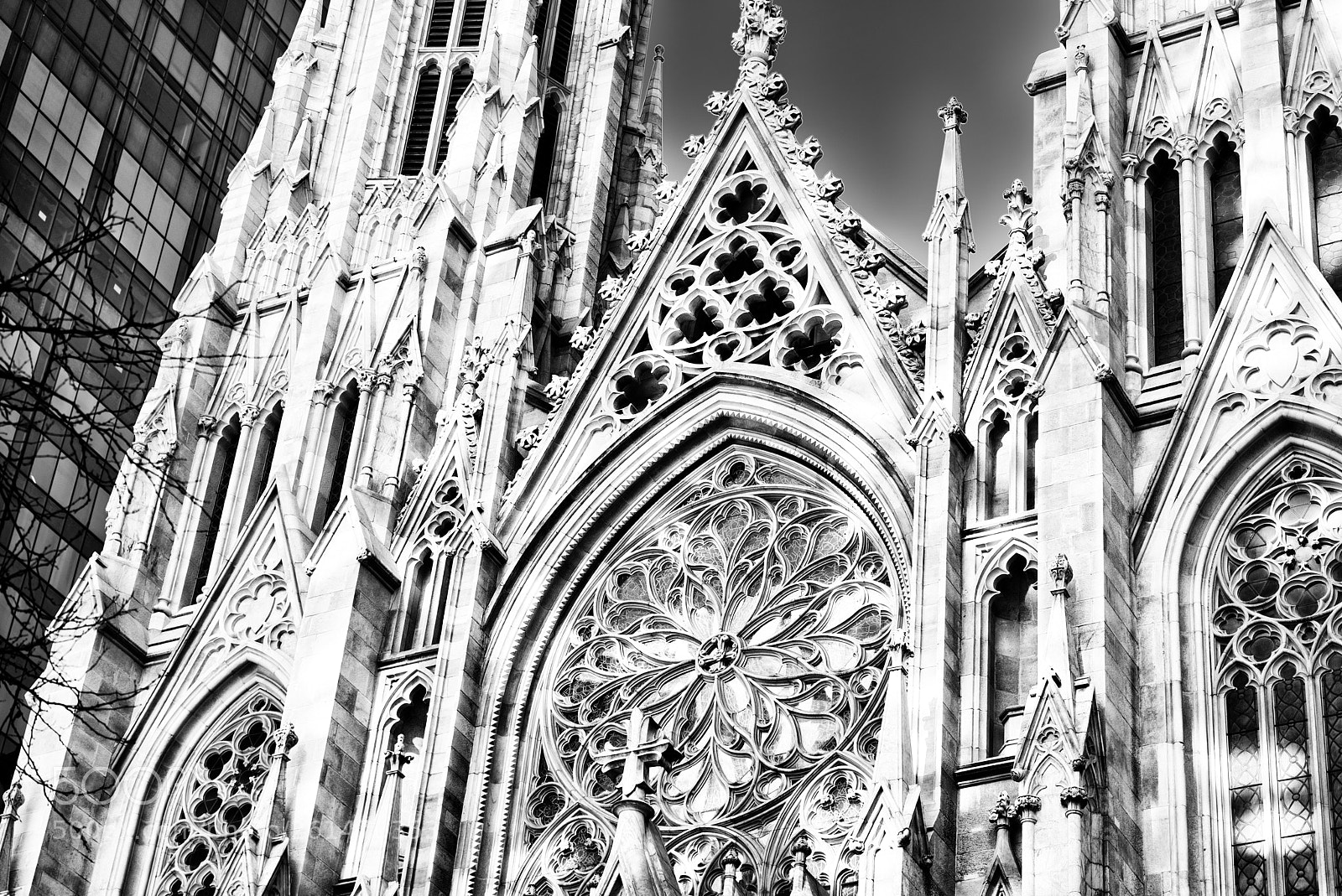Nikon D810 sample photo. St patrick's cathedral nyc photography