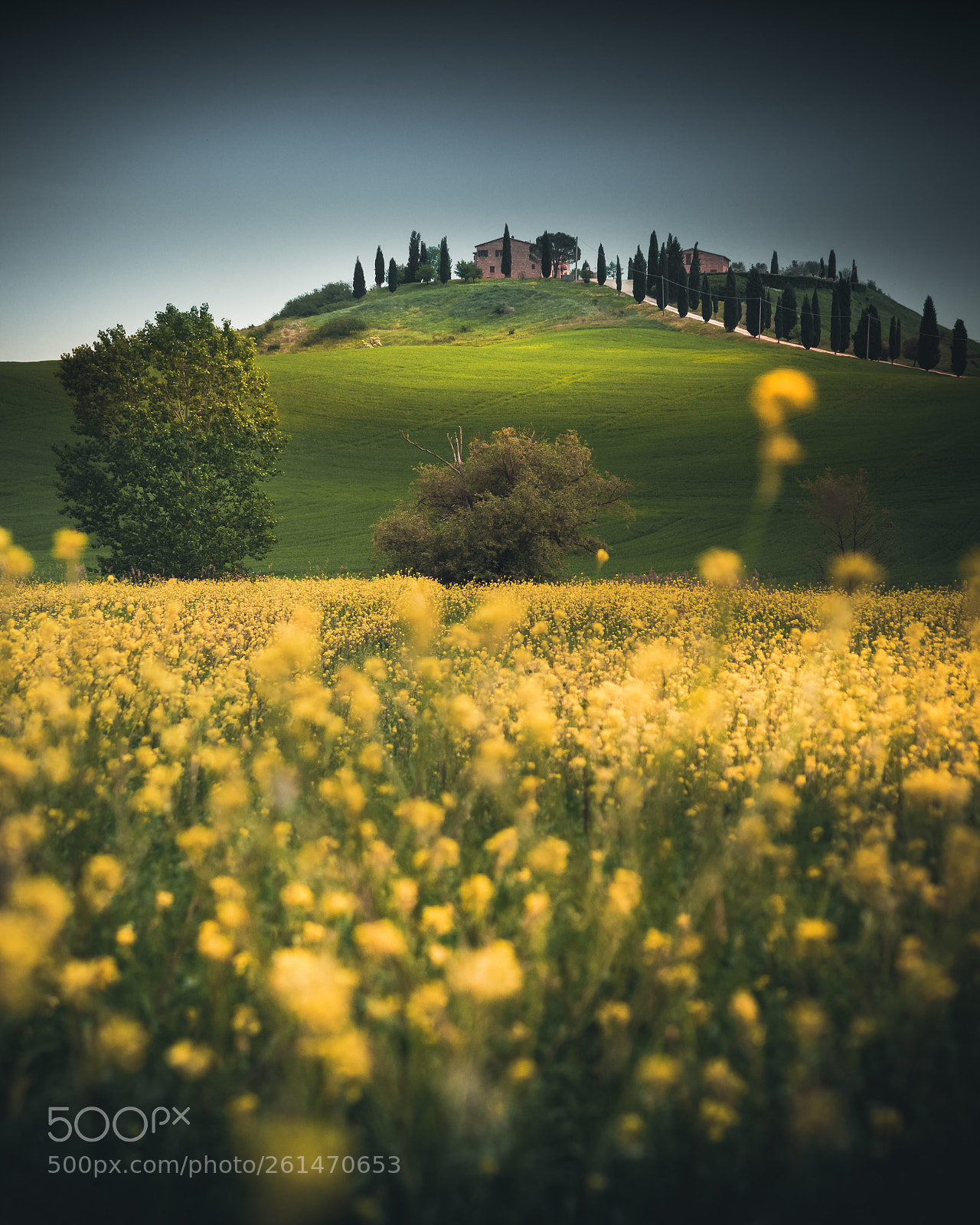 Olympus OM-D E-M1 Mark II sample photo. Toscana sempre toscana  photography