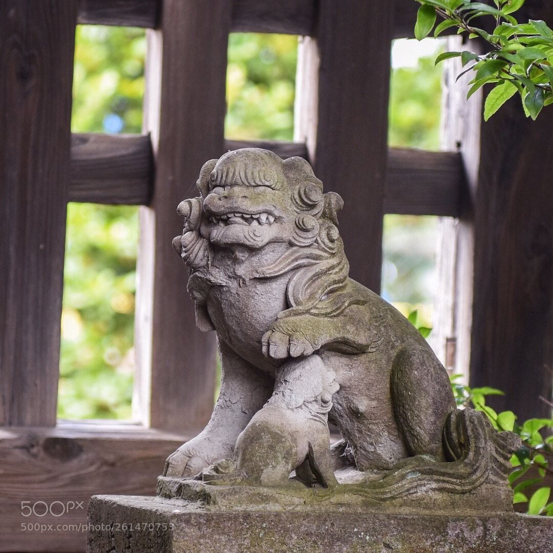 Nikon D810 sample photo. #144 photography