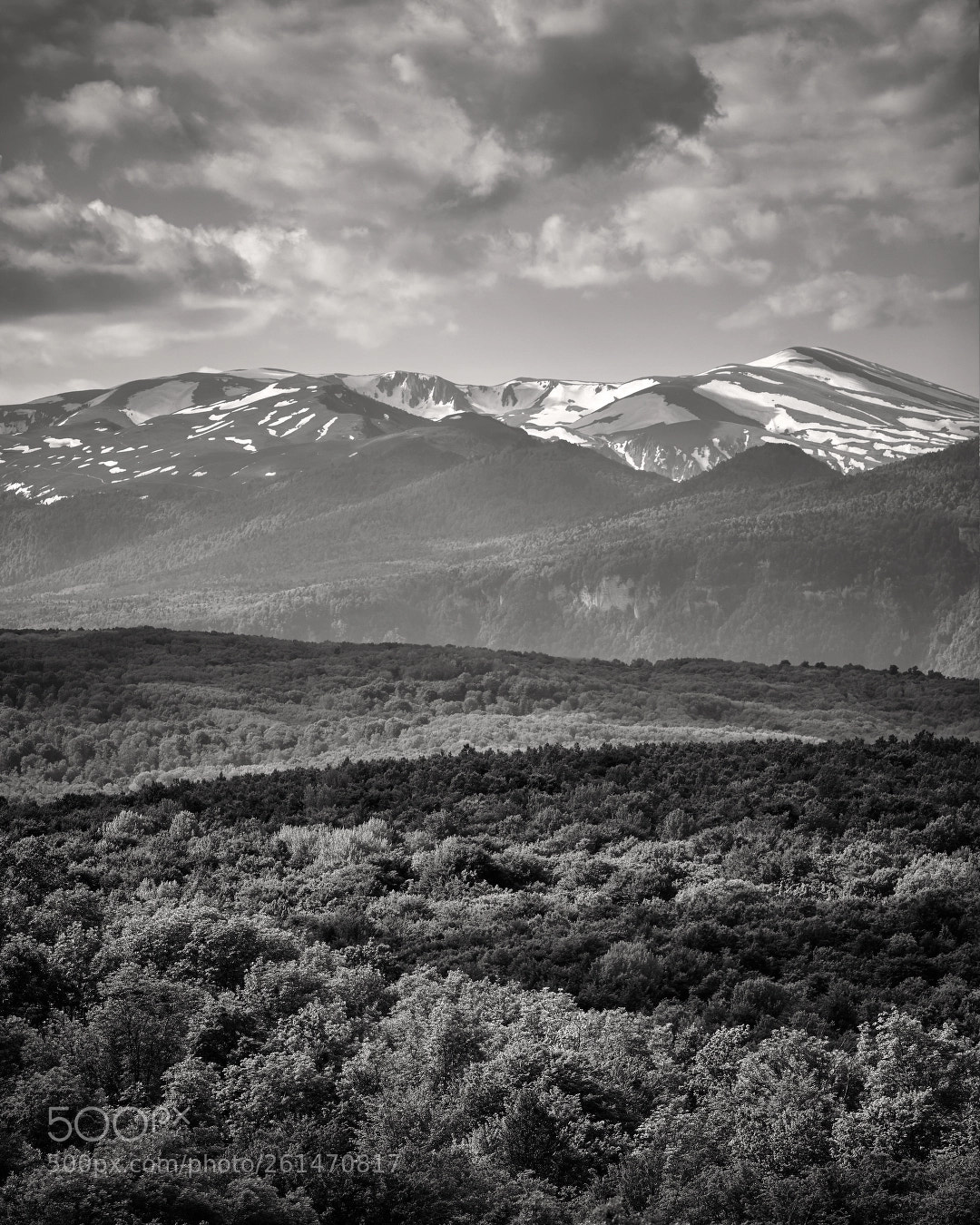 Canon EOS 5D Mark II sample photo. Three layers of nature photography