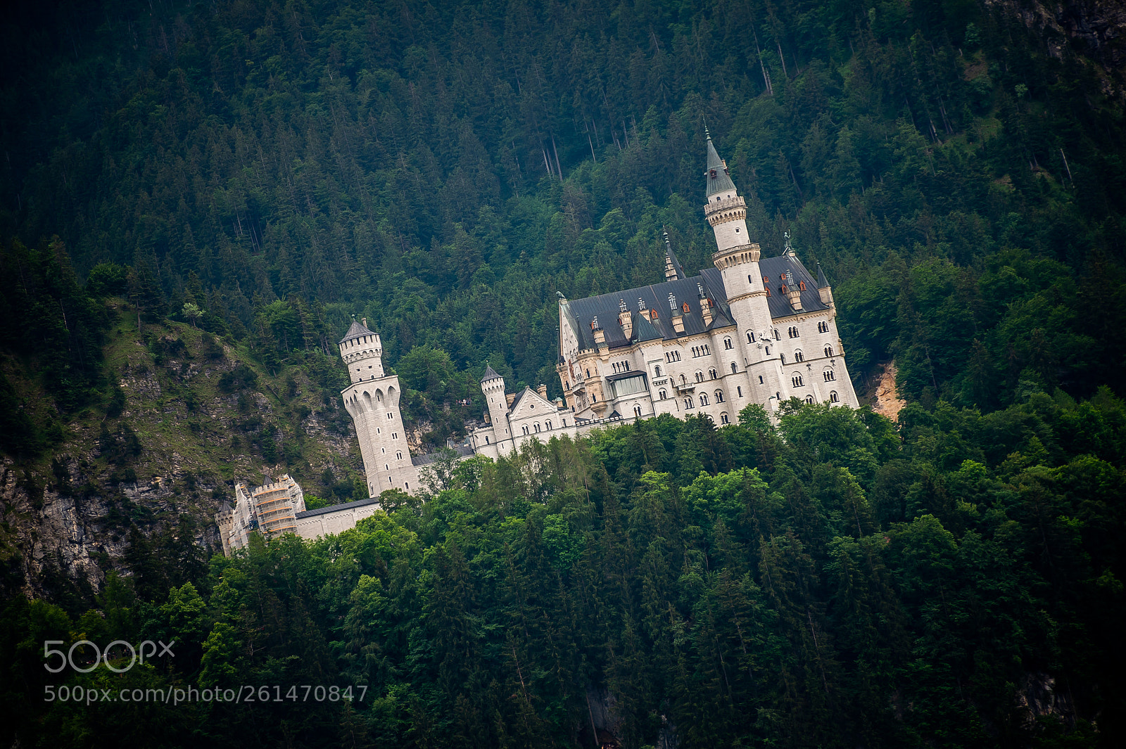 Nikon D4 sample photo. Neuschwanstein castle : bavaria : germany photography