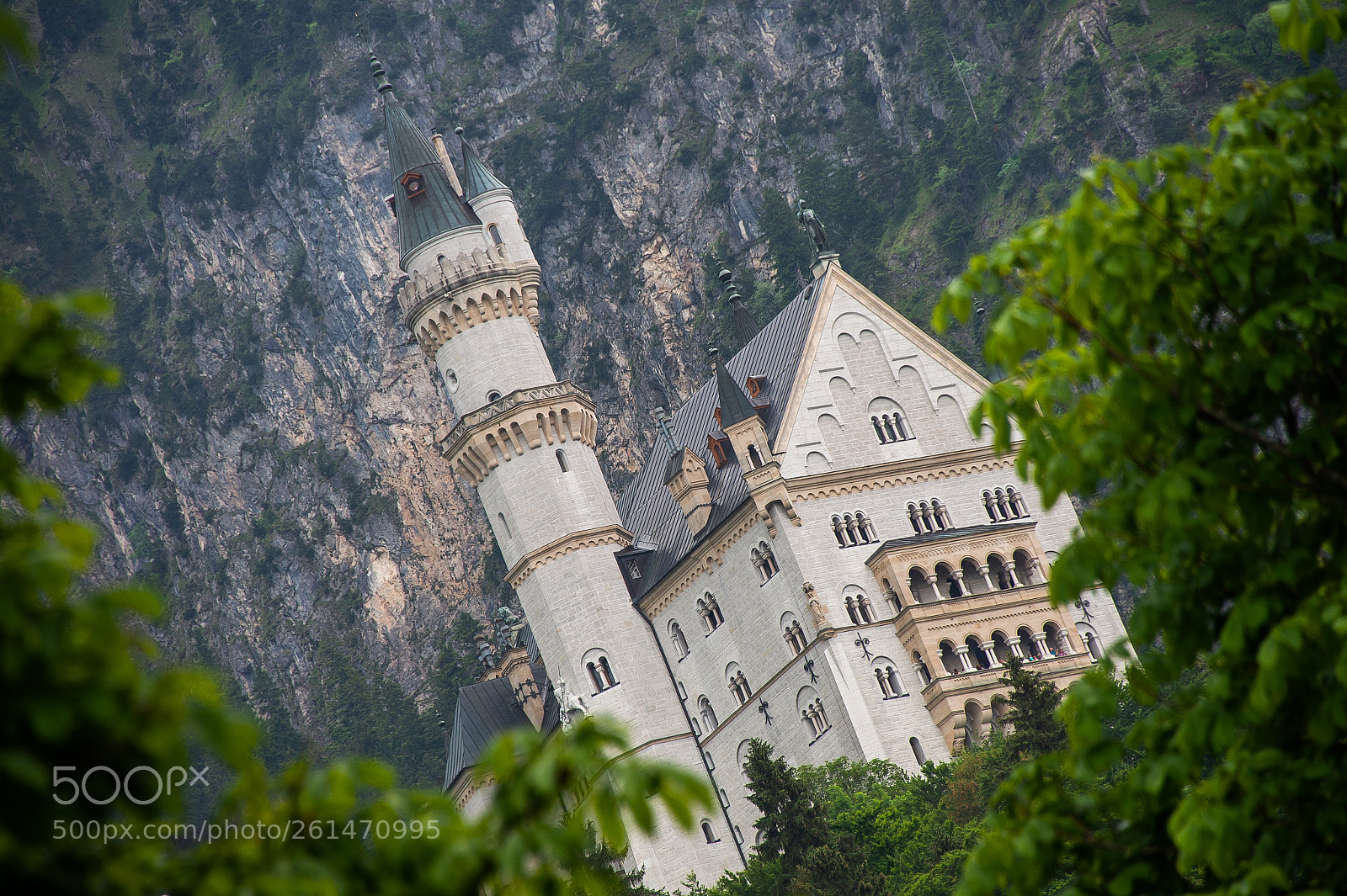 Nikon D4 sample photo. Neuschwanstein castle : bavaria : germany photography