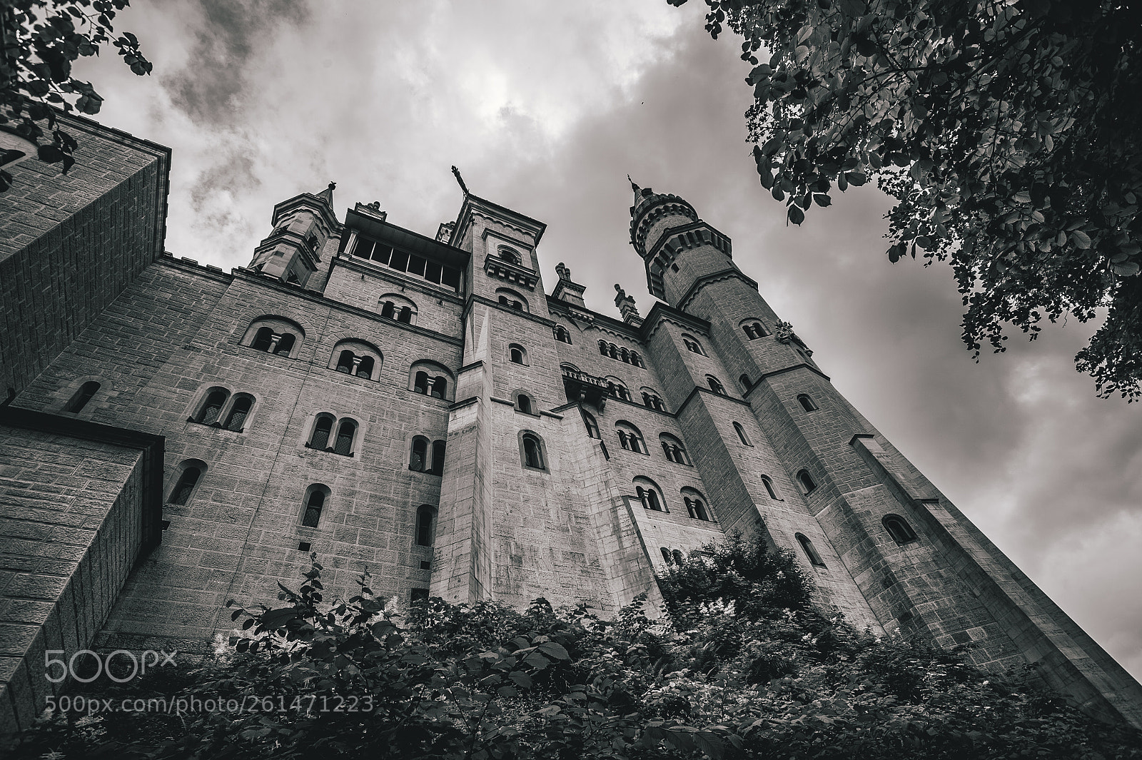 Nikon D4 sample photo. Neuschwanstein castle : bavaria : germany photography