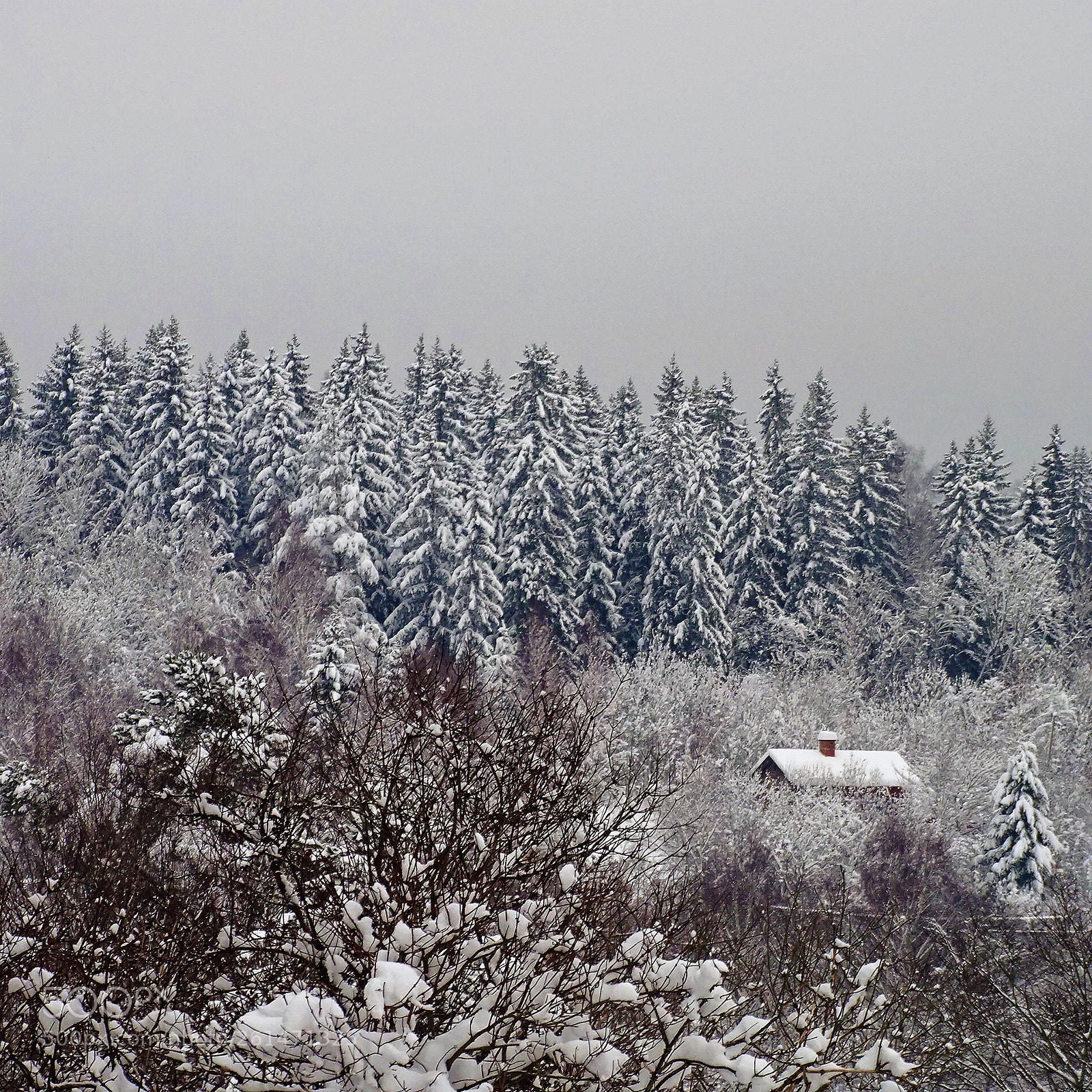 Sony Cyber-shot DSC-HX400V sample photo. Vinter photography