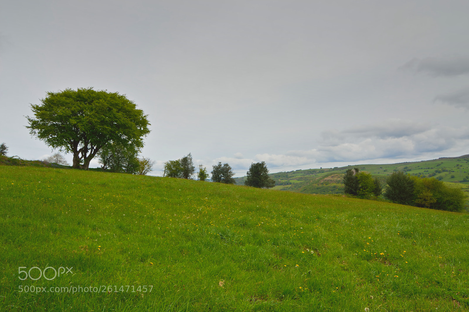 Nikon D3200 sample photo. Top pasture photography