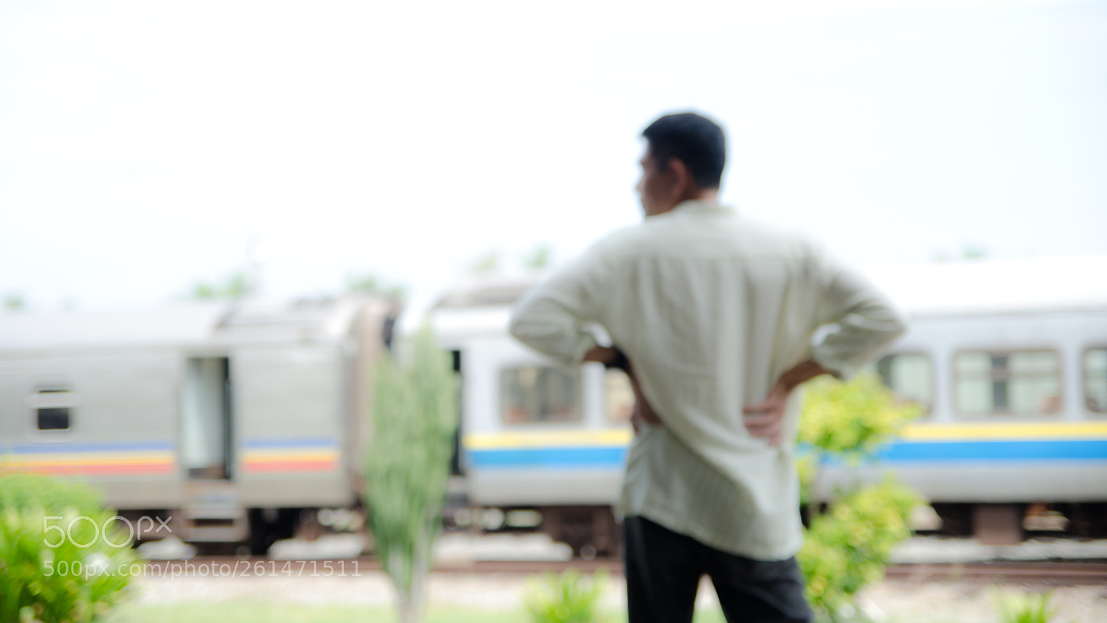 Nikon D7000 sample photo. In focus photography