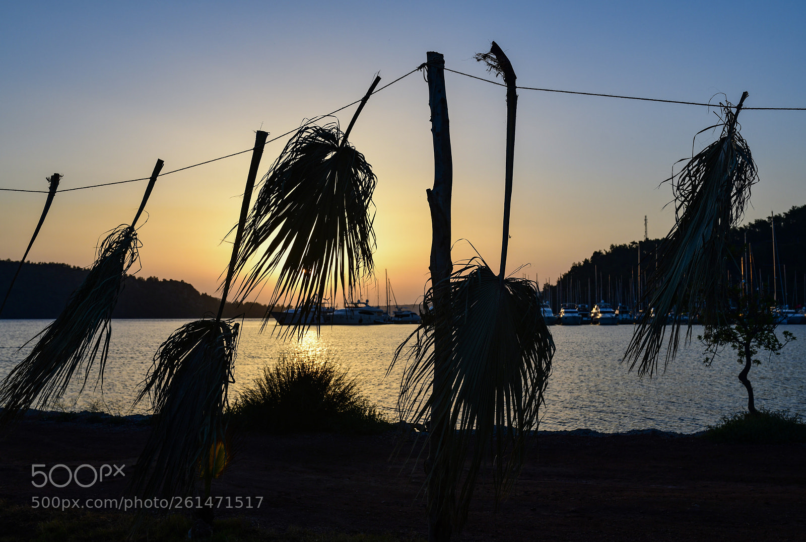 Nikon D850 sample photo. Silhouettes photography