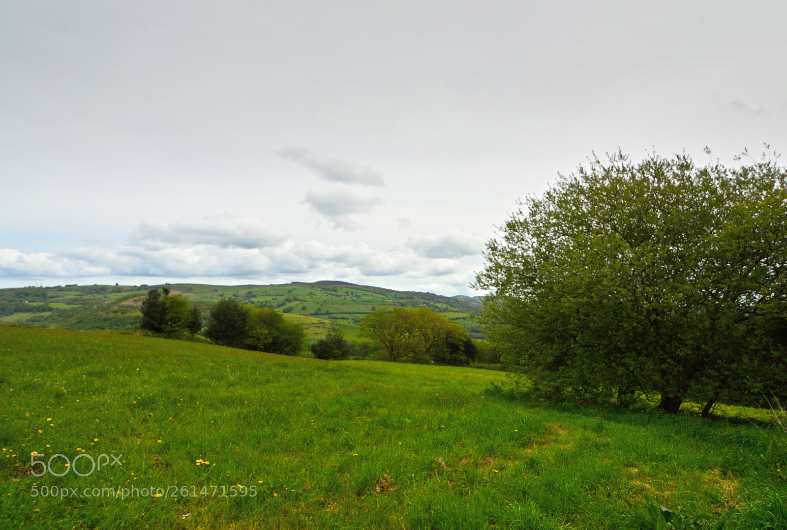 Nikon D3200 sample photo. Valley top photography