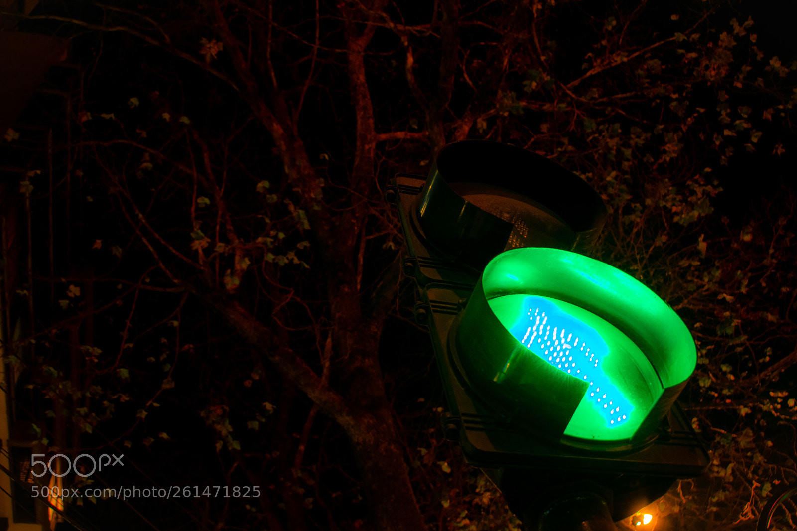 Nikon D3400 sample photo. Elcomportamiento photography