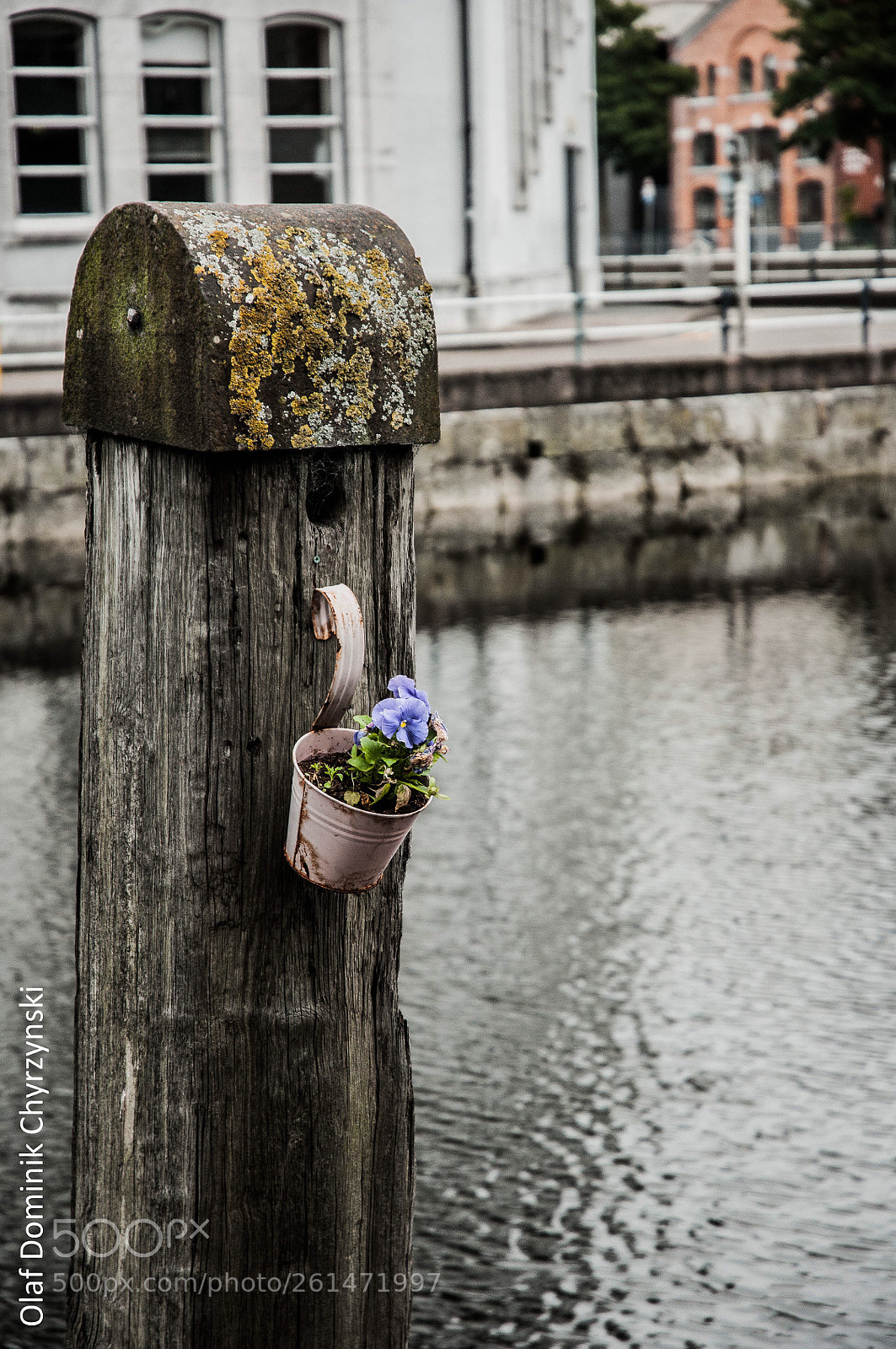 Nikon D300S sample photo. Untitled photography