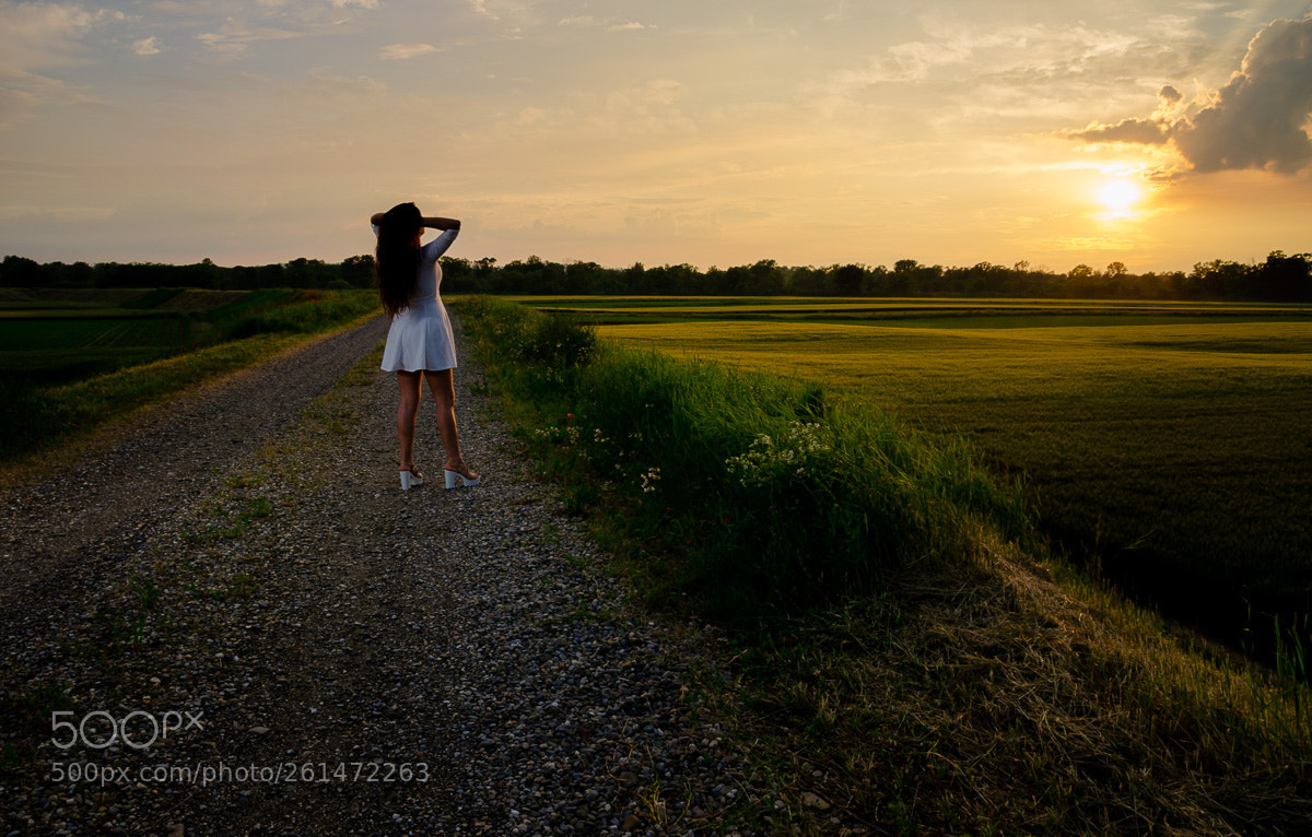 Nikon D5100 sample photo. The power of light photography