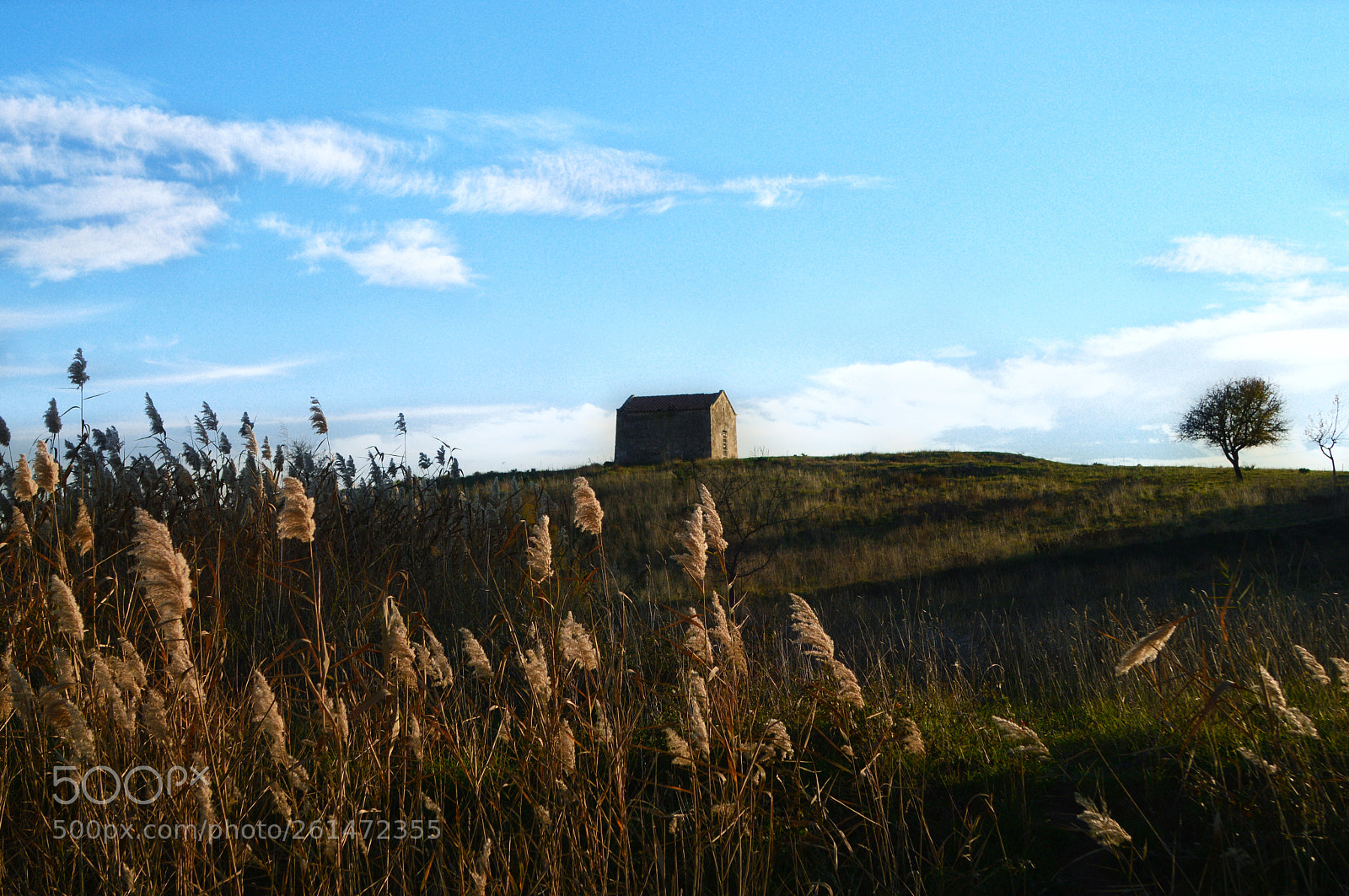 Nikon D3200 sample photo. Italian fields photography