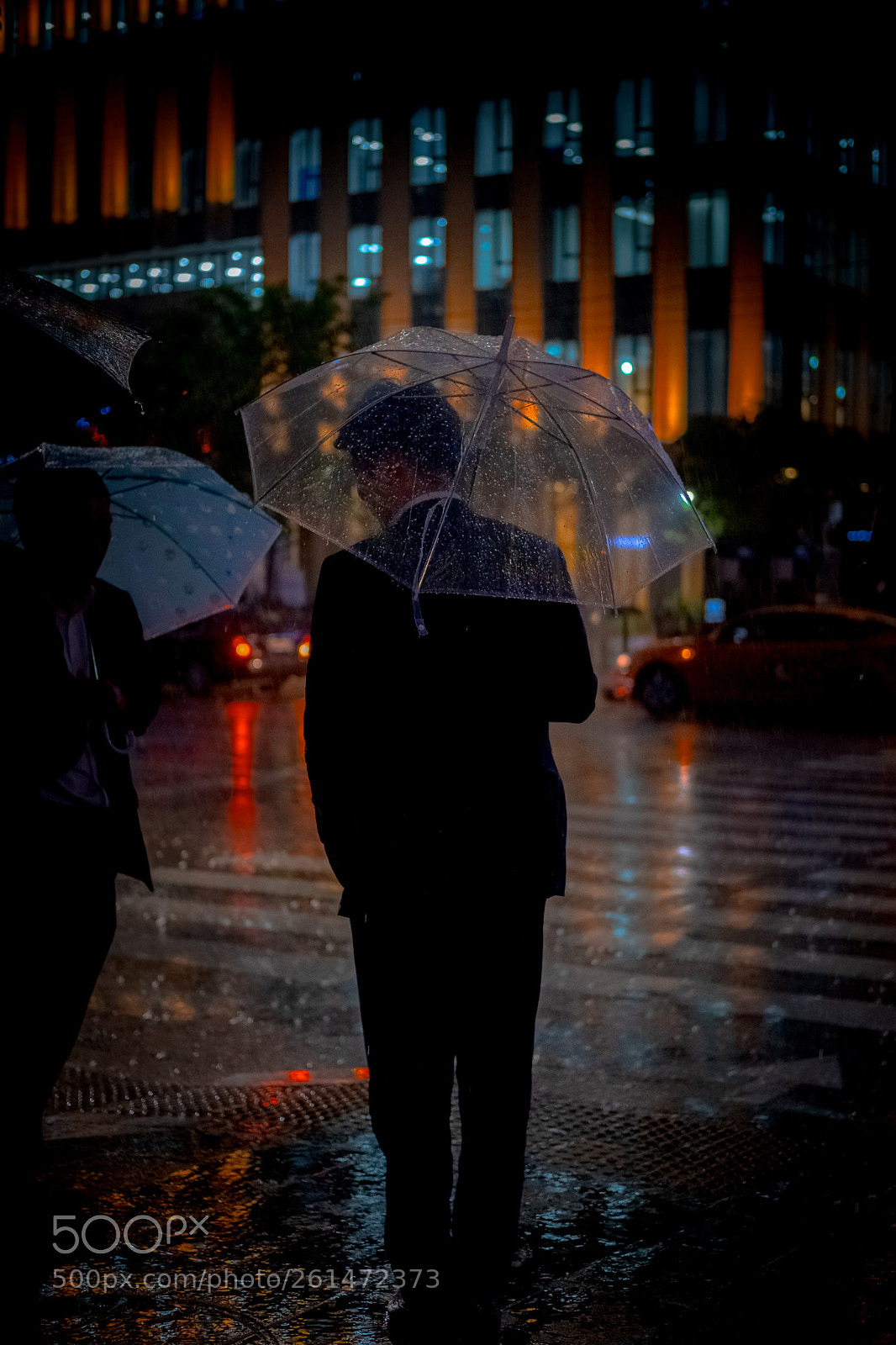 Fujifilm X-T20 sample photo. "rain day" photography