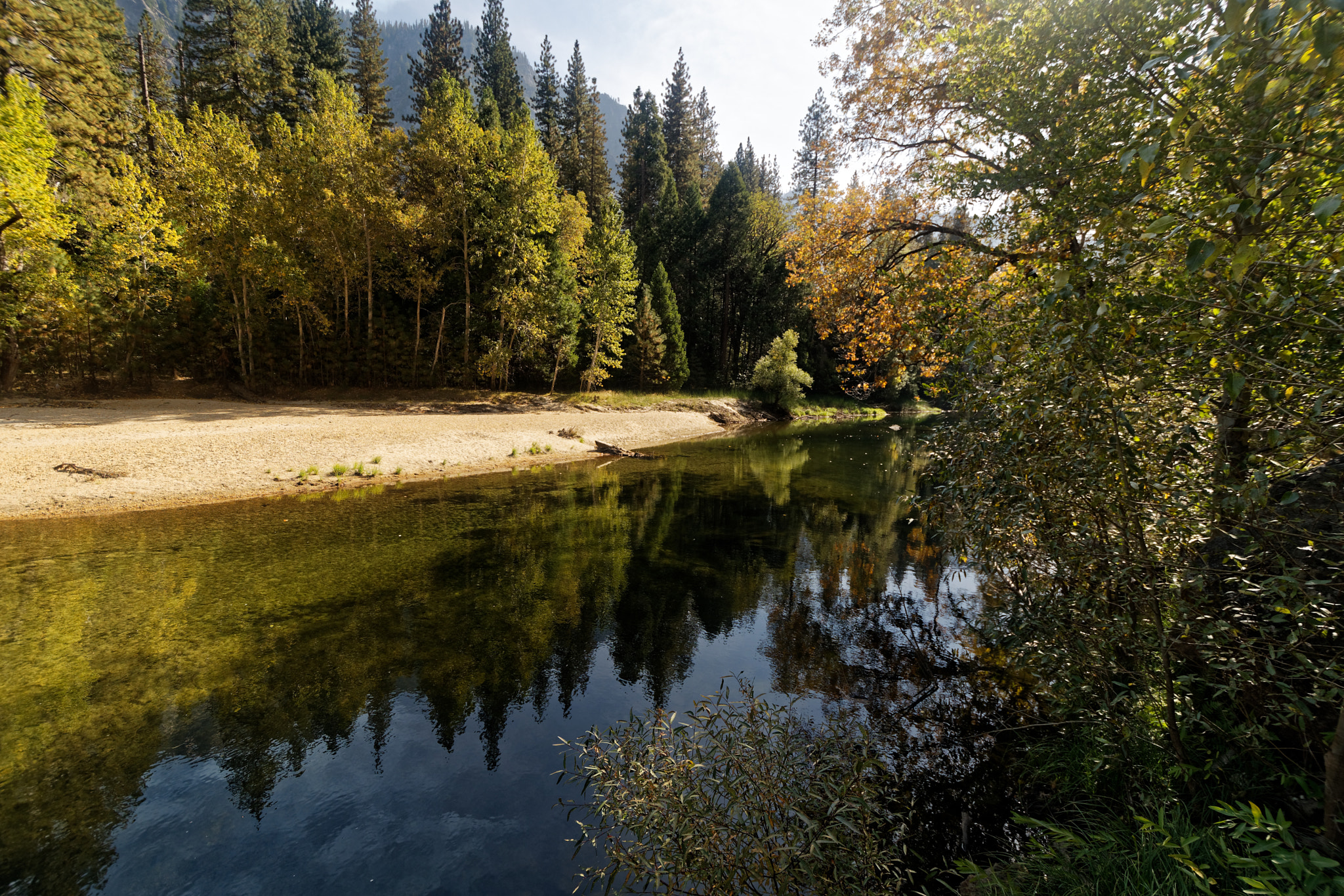 Nikon D500 sample photo. Yosemite photography