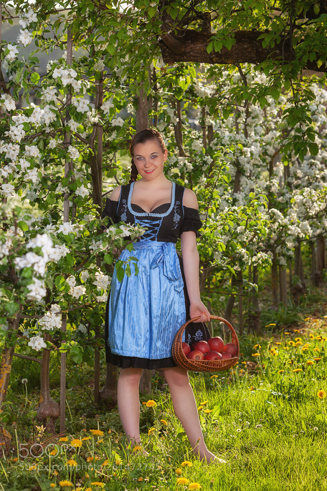 Canon EOS 5D Mark II sample photo. Looking forward to the photography