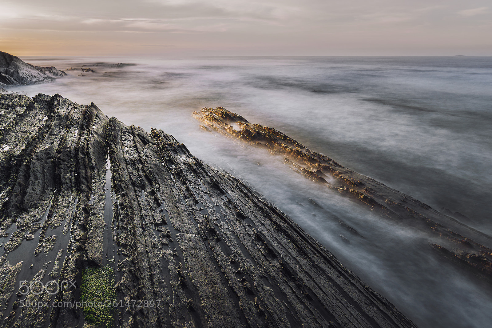 Nikon D5200 sample photo. Golden flysch photography