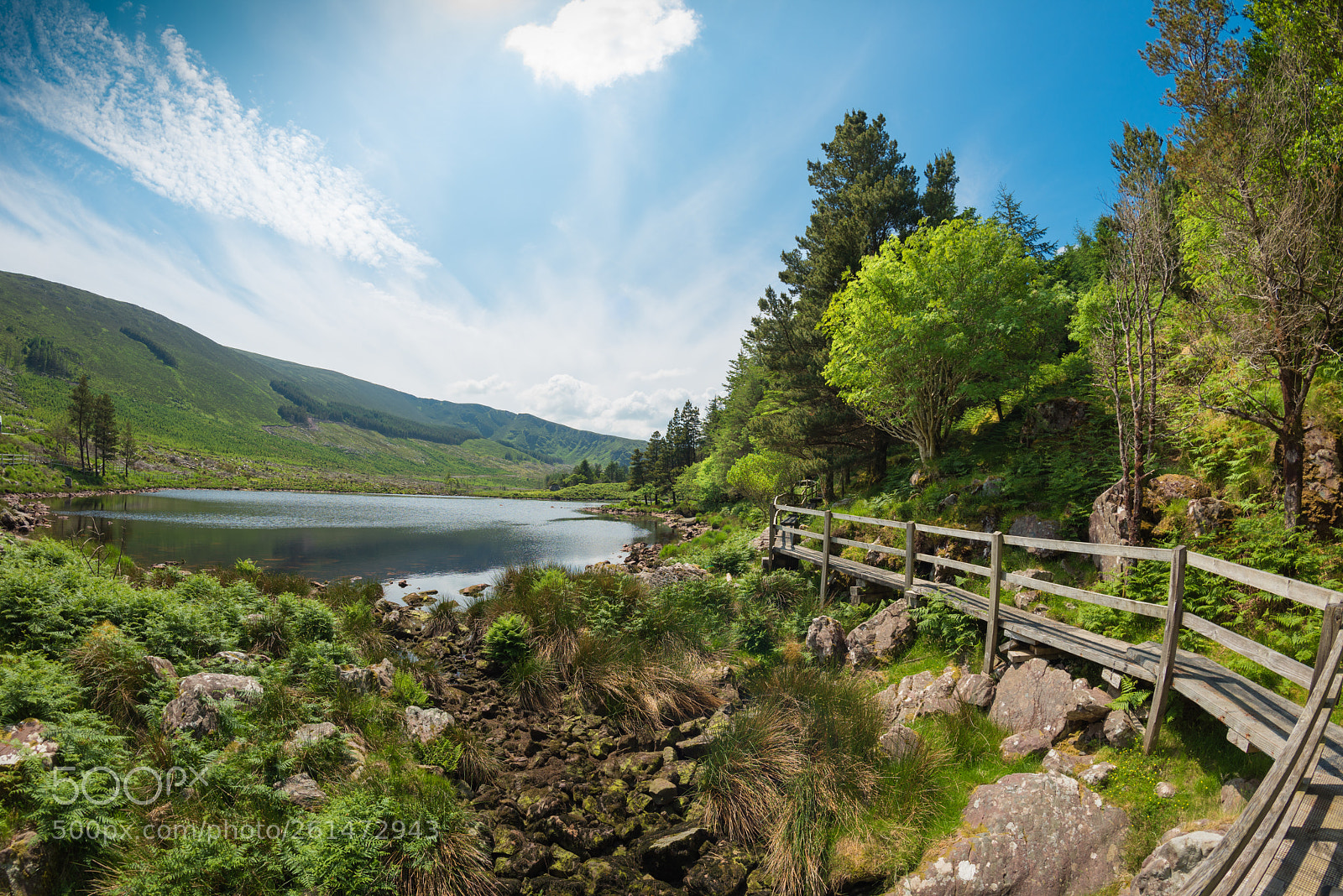Nikon D810 sample photo. Fancy a swim ? photography