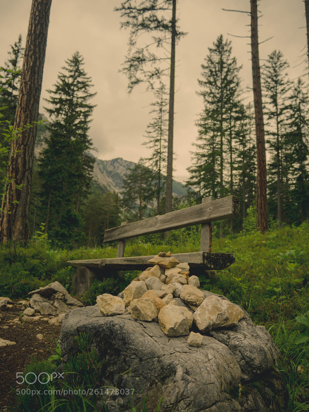 Olympus OM-D E-M10 II sample photo. A place to rest photography