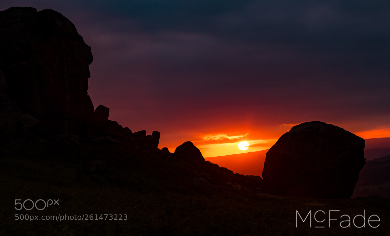 Canon EOS 5D Mark IV sample photo. The cow and calf photography