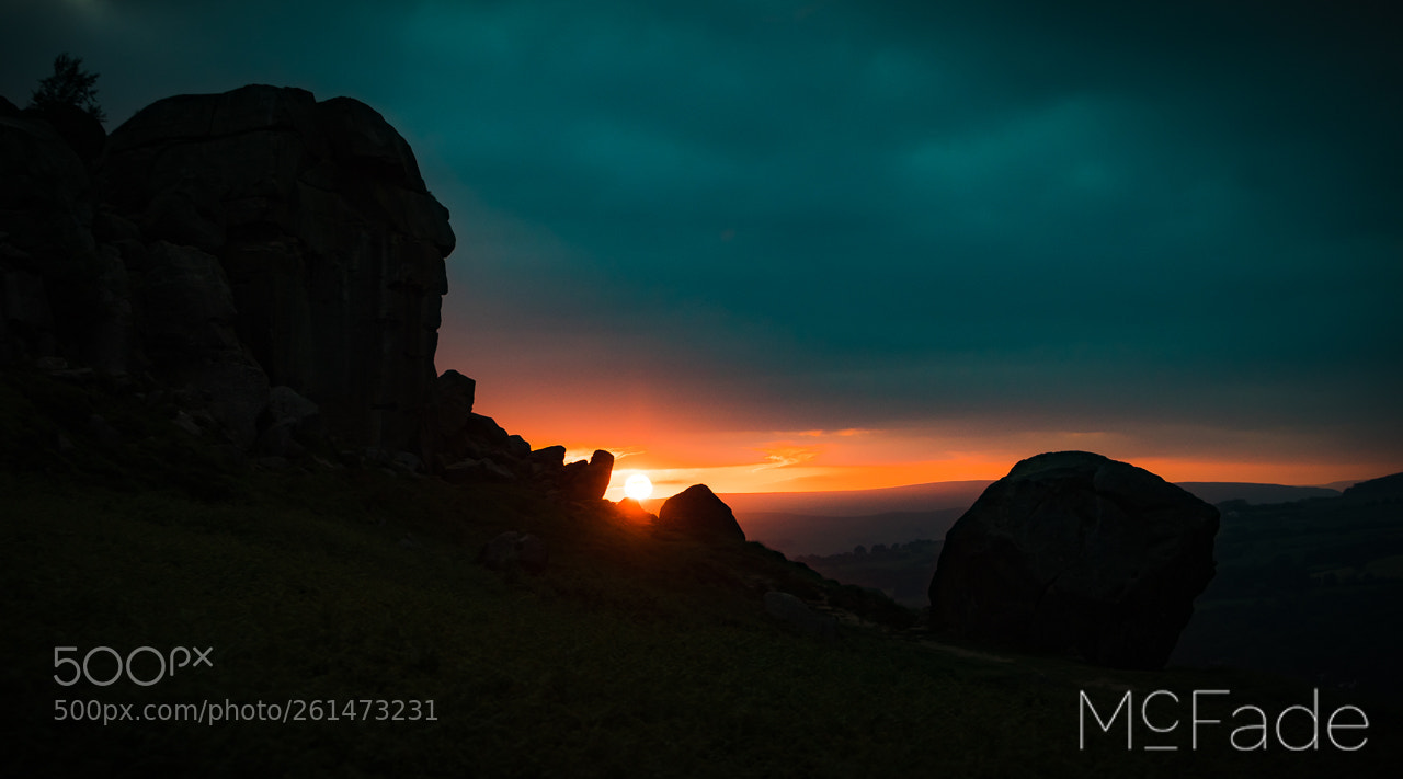 Canon EOS 5D Mark IV sample photo. The cow and calf photography