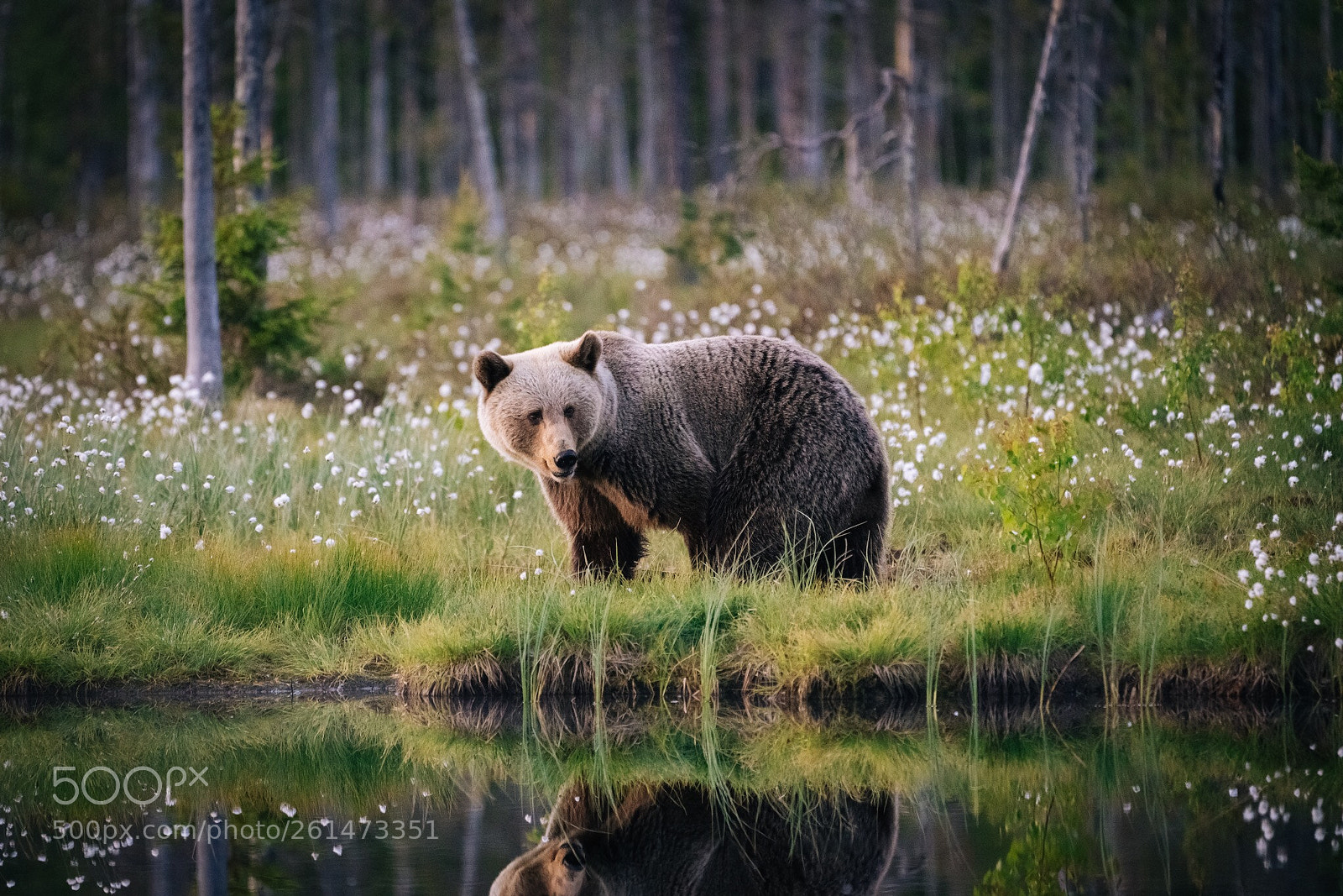 Sony a7R II sample photo. Russian border patrol photography