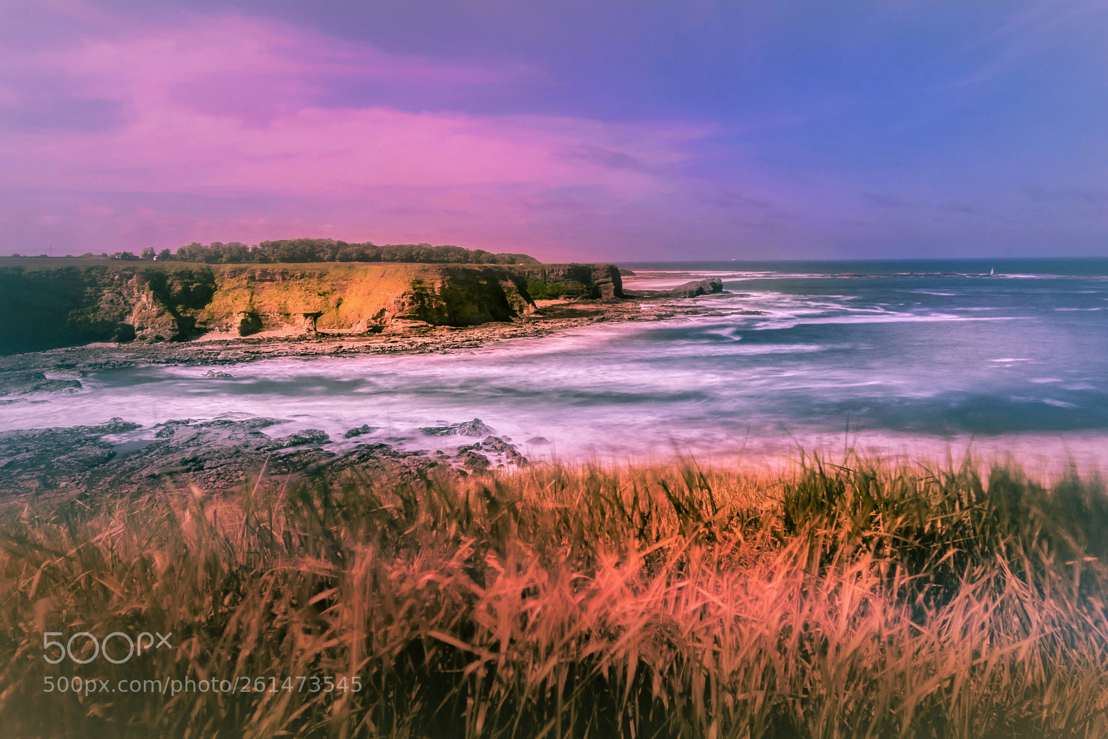 Nikon D5300 sample photo. Cliffs of north berwick photography
