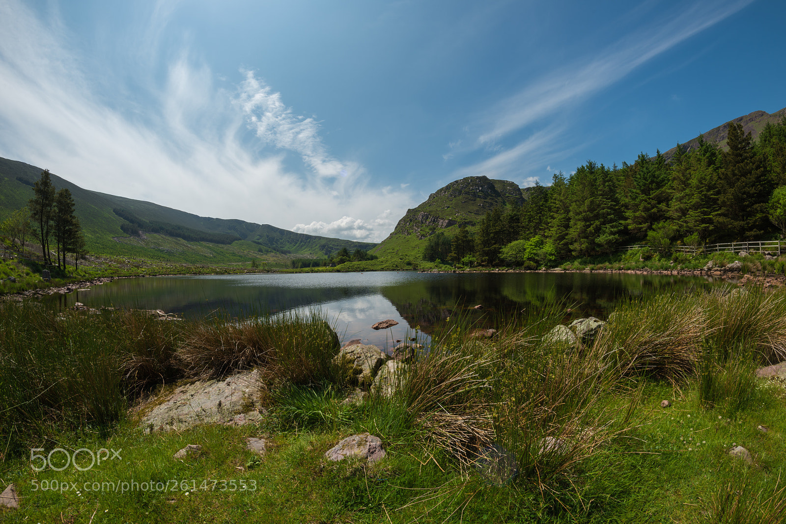 Nikon D810 sample photo. Glanteenassig forest county kerry photography