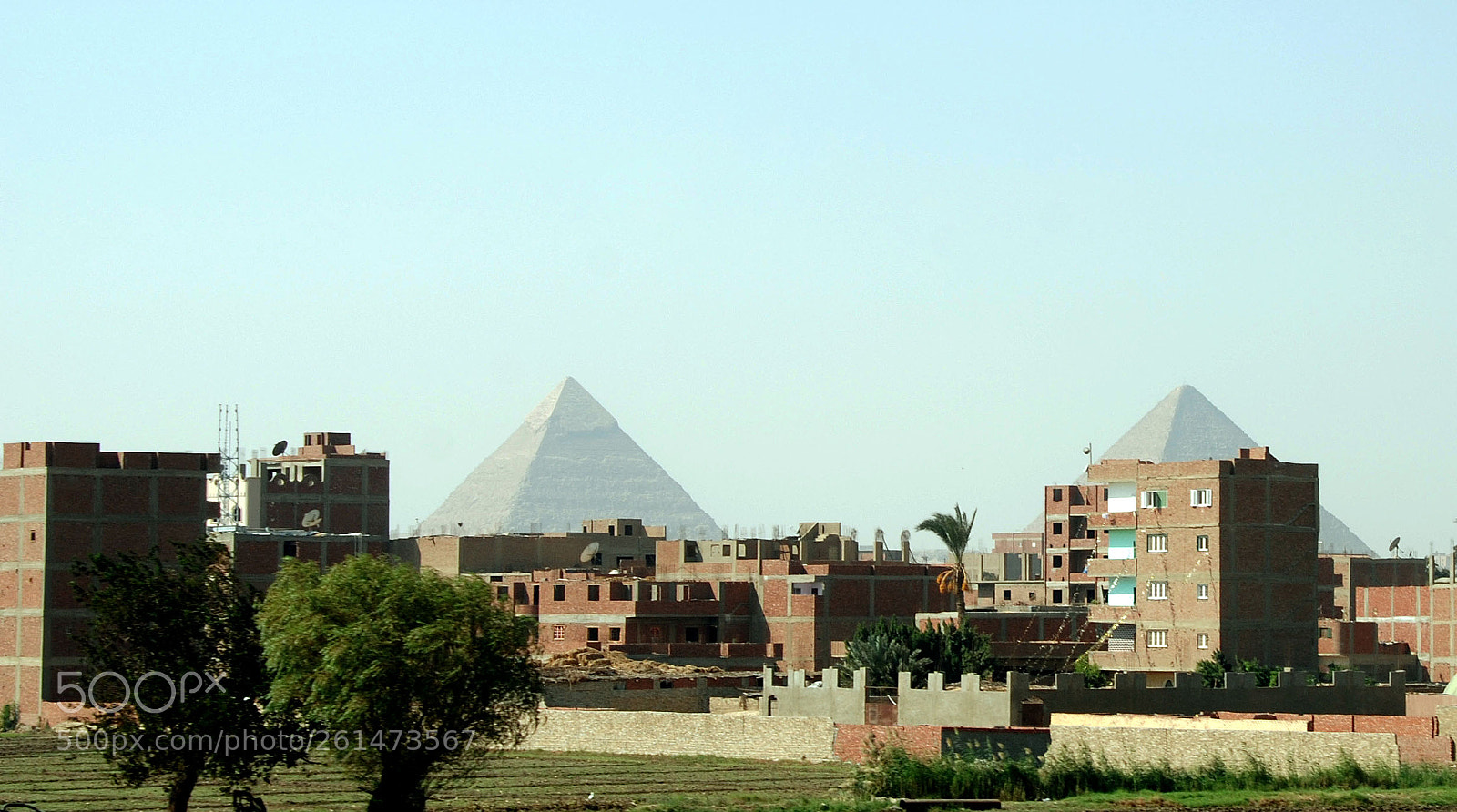 Nikon D80 sample photo. Cairo. photography