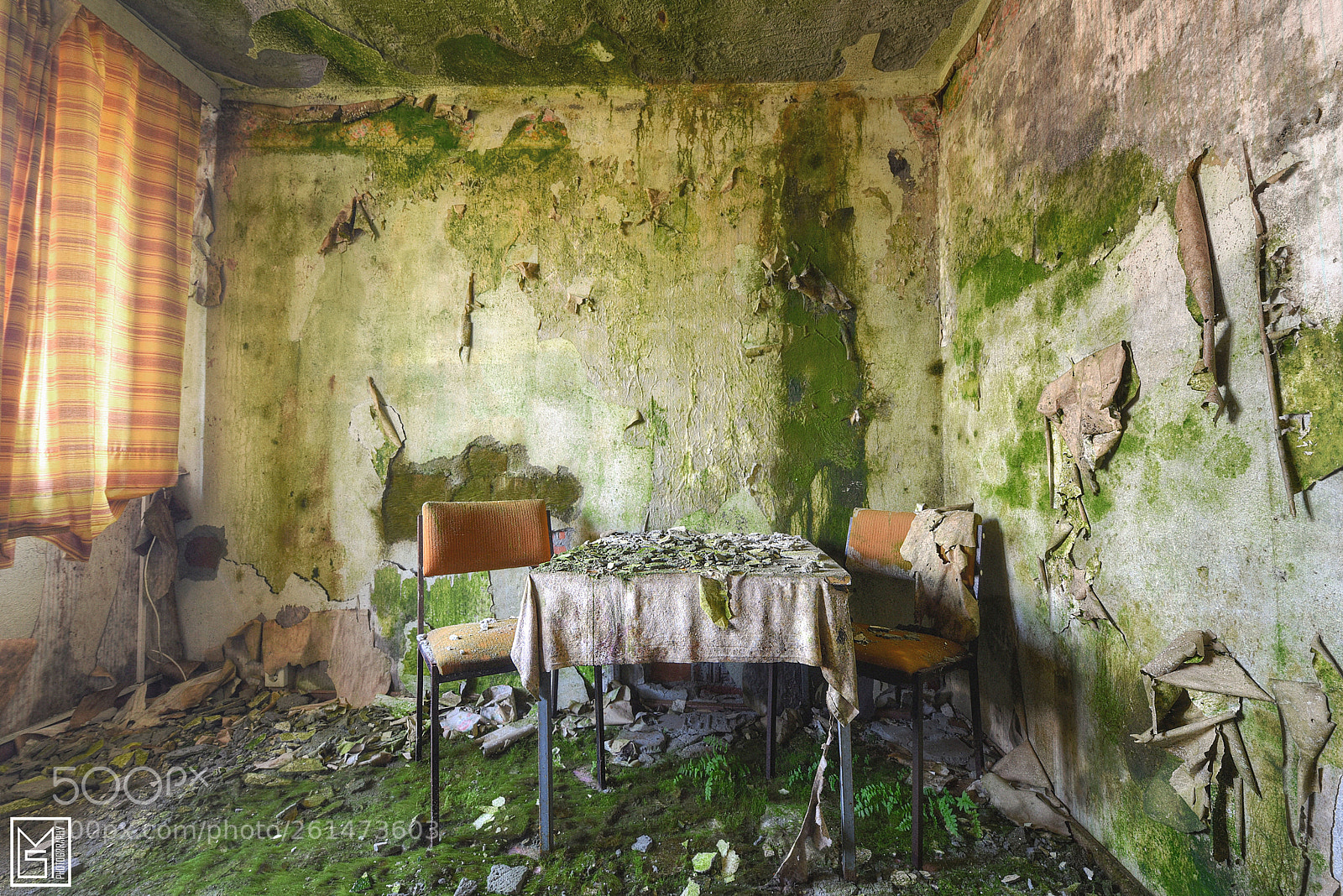 Nikon D750 sample photo. Mold hotel photography