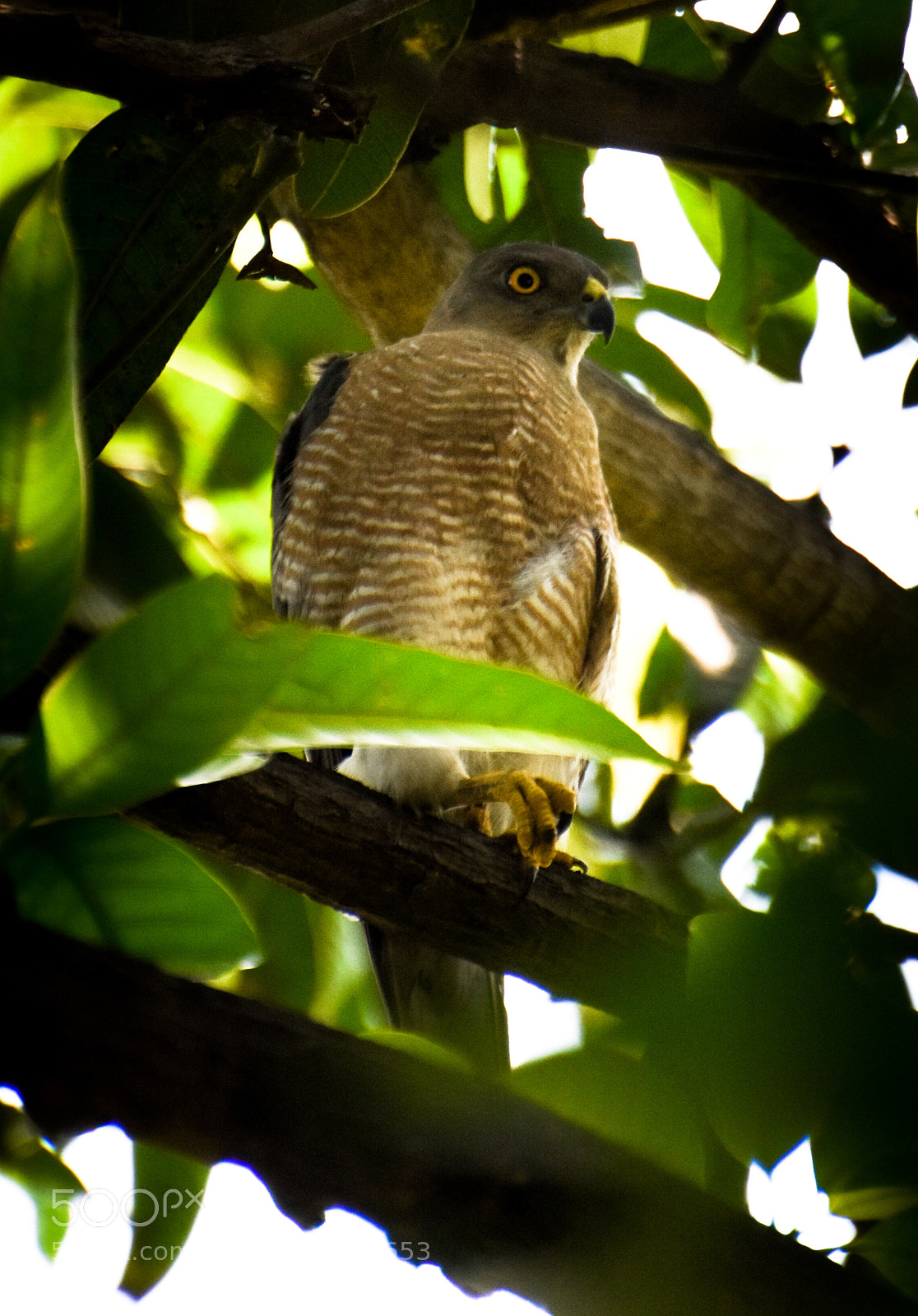 Nikon D7200 sample photo. Scary photography
