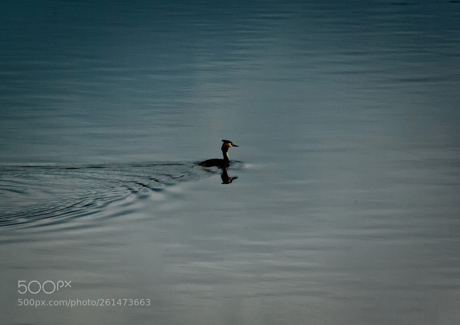 Pentax K10D sample photo. In the lake... photography