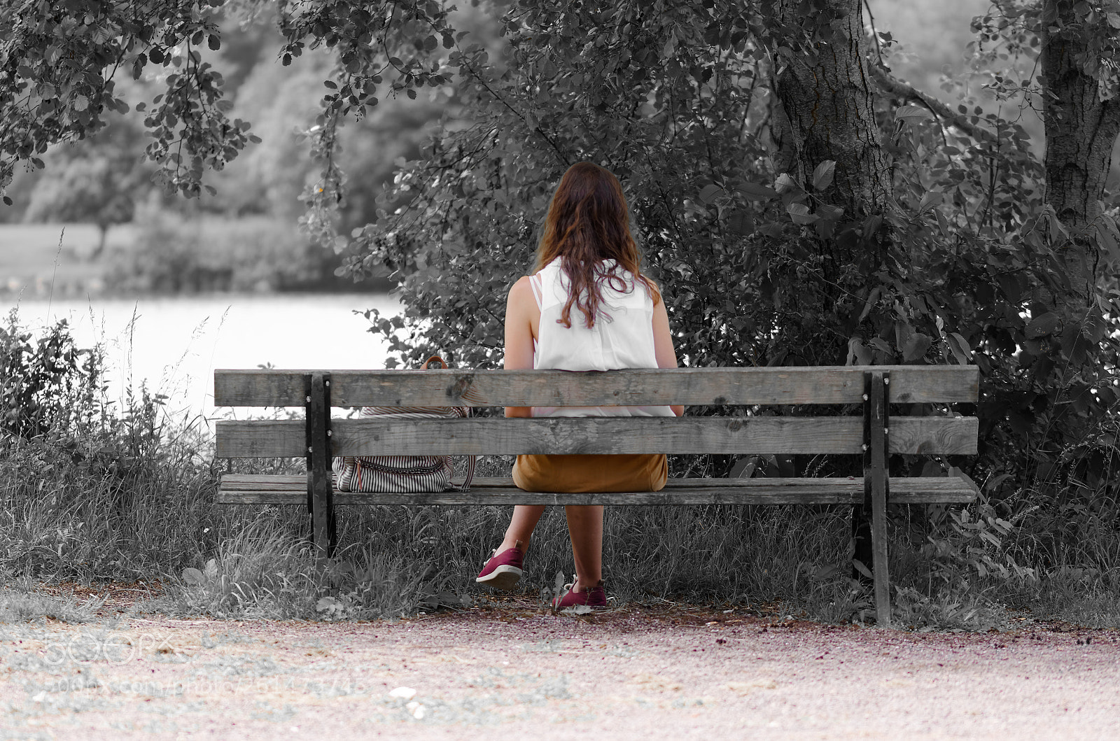 Nikon D5100 sample photo. On a bench photography