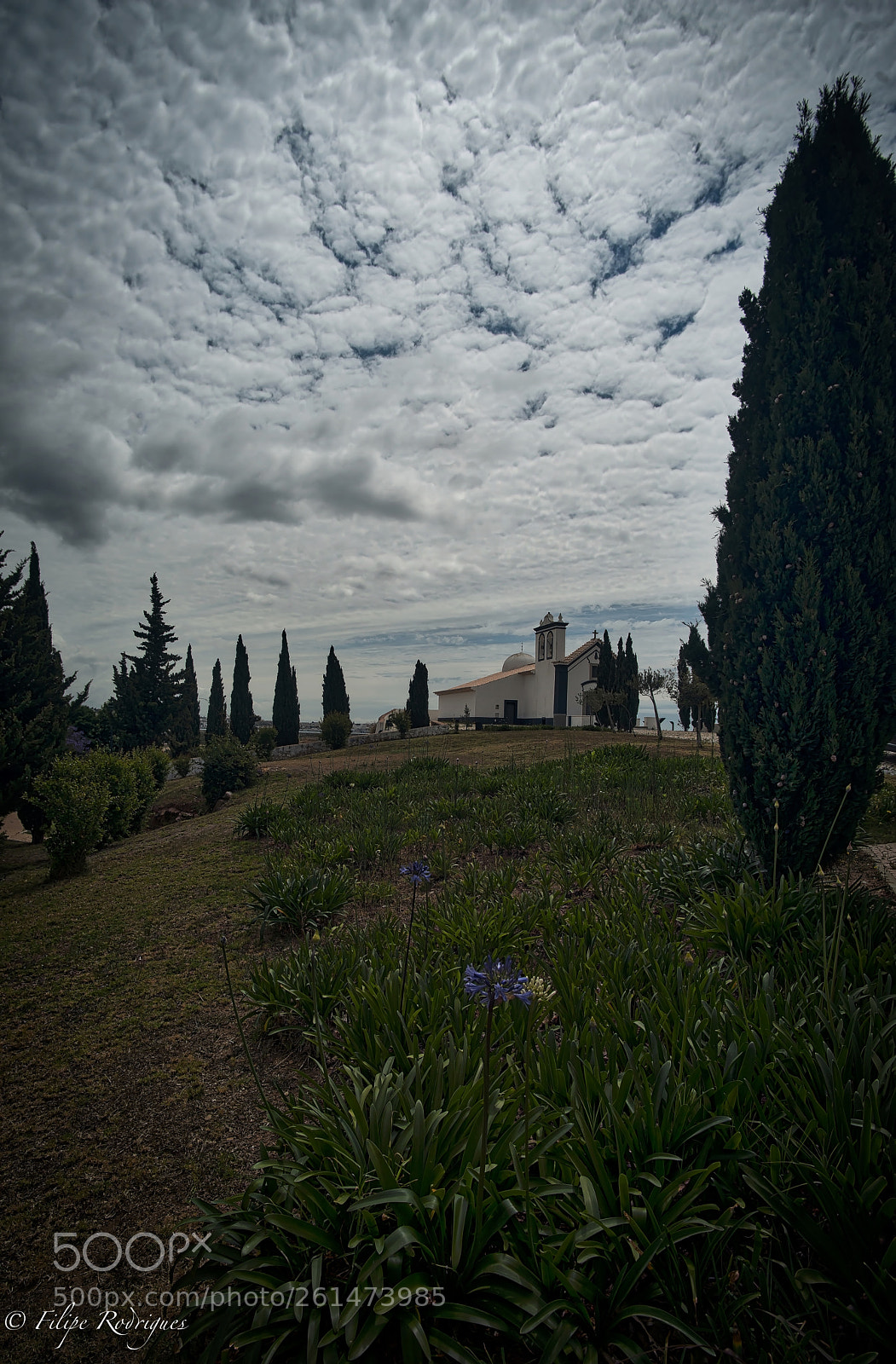 Nikon D800E sample photo. Woolly sky photography
