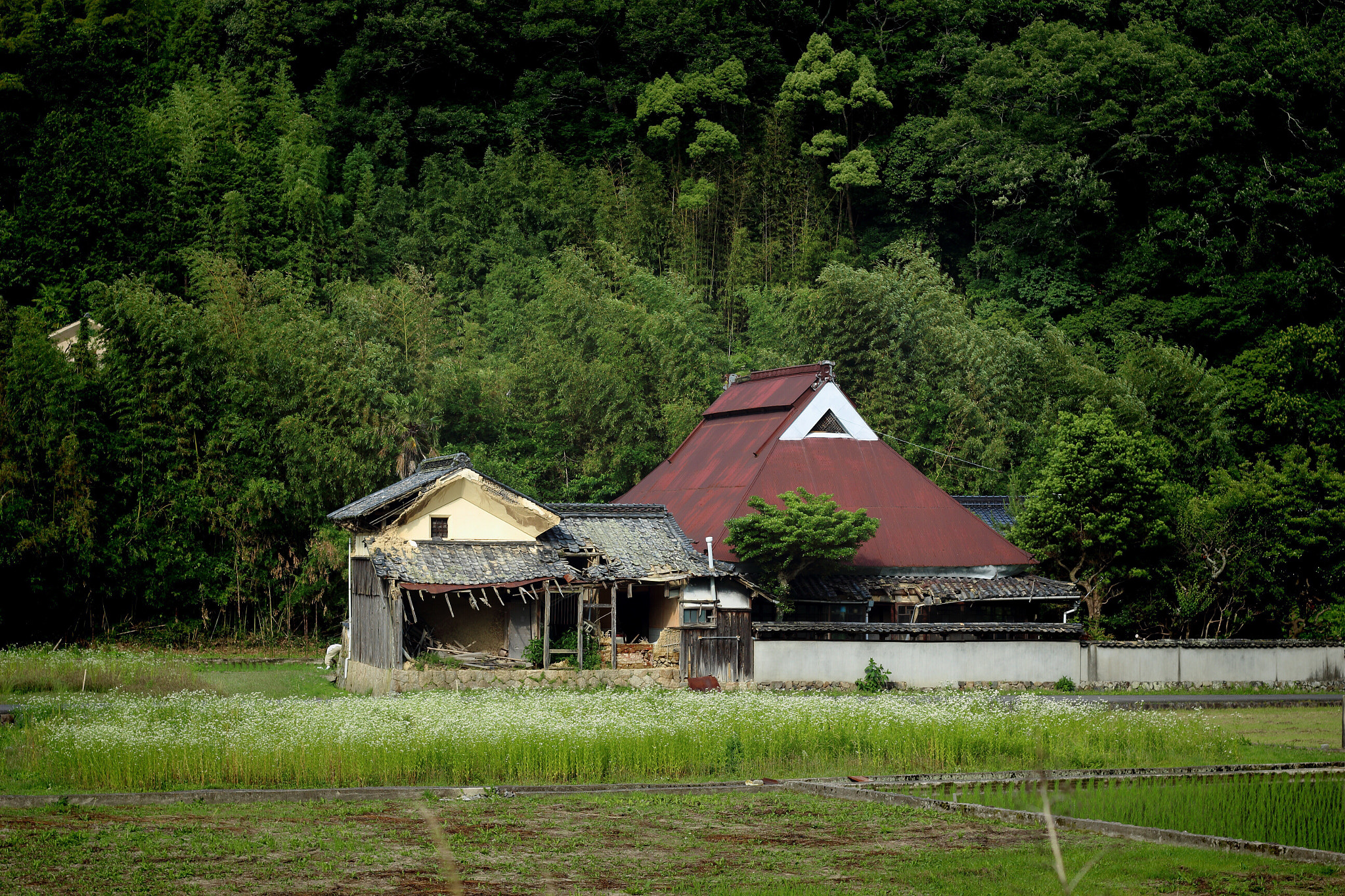 Canon EOS 100D (EOS Rebel SL1 / EOS Kiss X7) sample photo. Dilapidated house photography