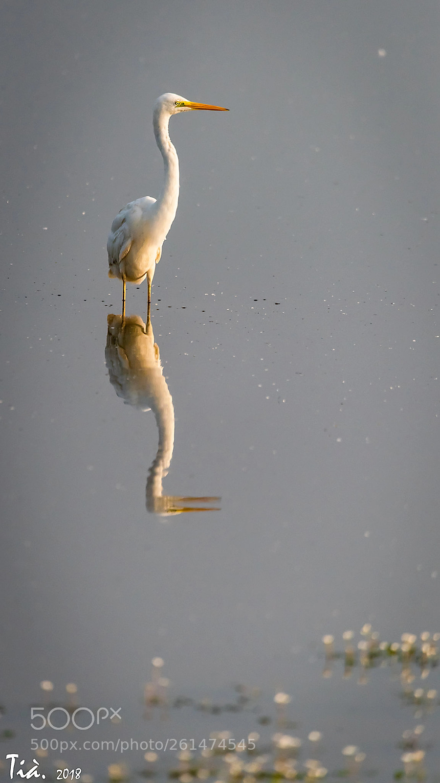 Nikon D810 sample photo. Agro blanc photography