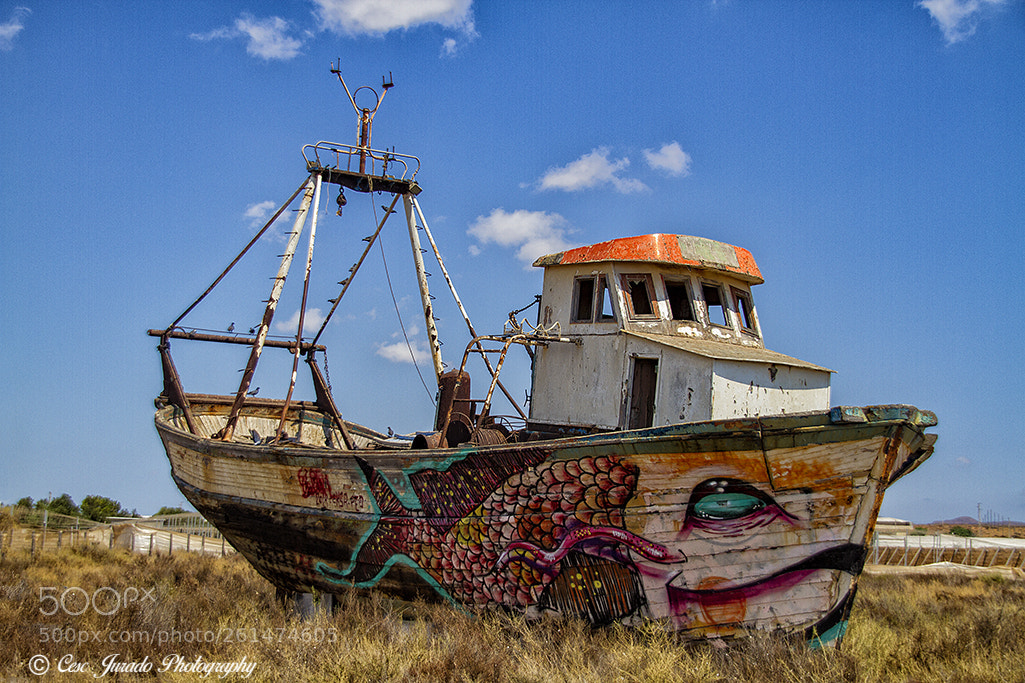 Canon EOS 7D sample photo. En seco photography