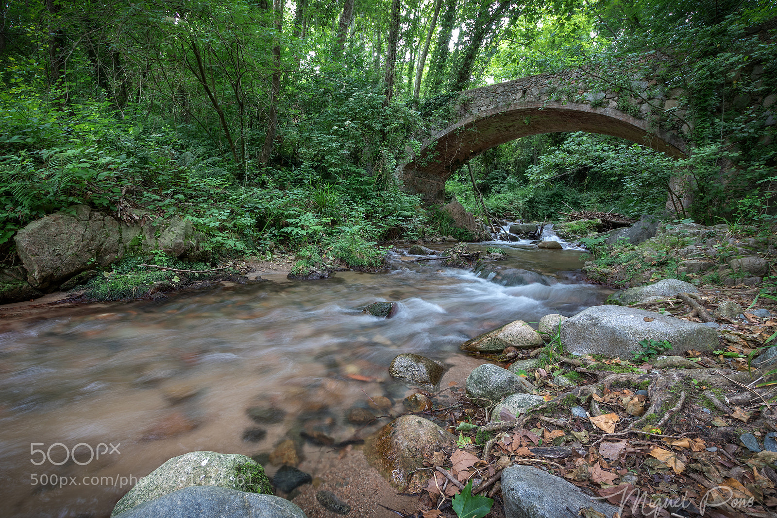 Canon EOS 7D Mark II sample photo. Arbucies river photography