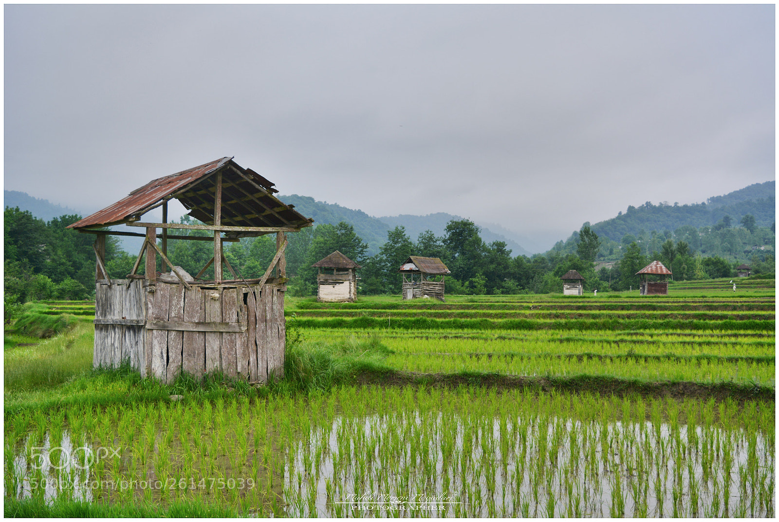 Nikon D5200 sample photo. Farmhouse photography