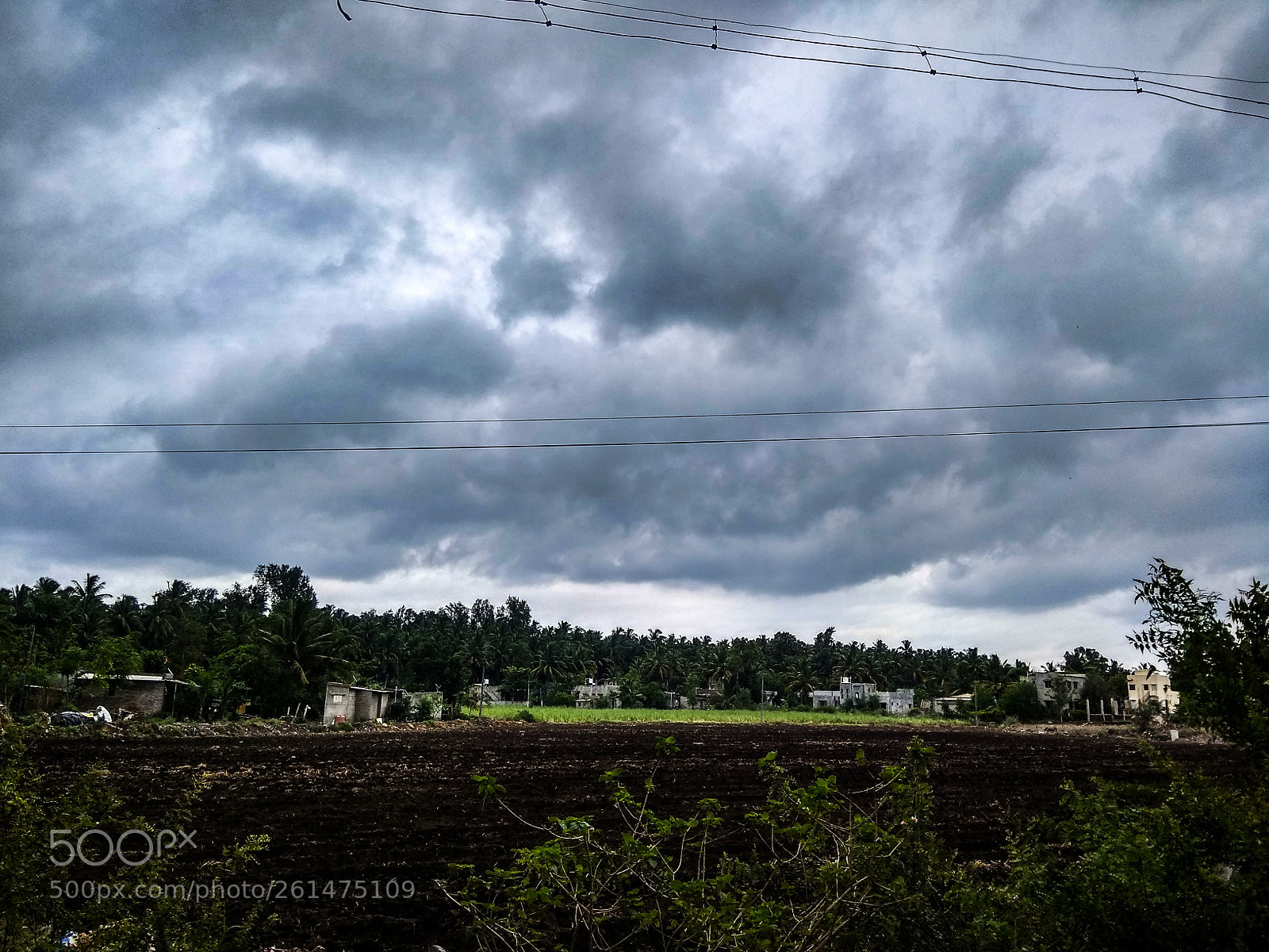 Xiaomi Redmi Note 4 sample photo. Untitled photography
