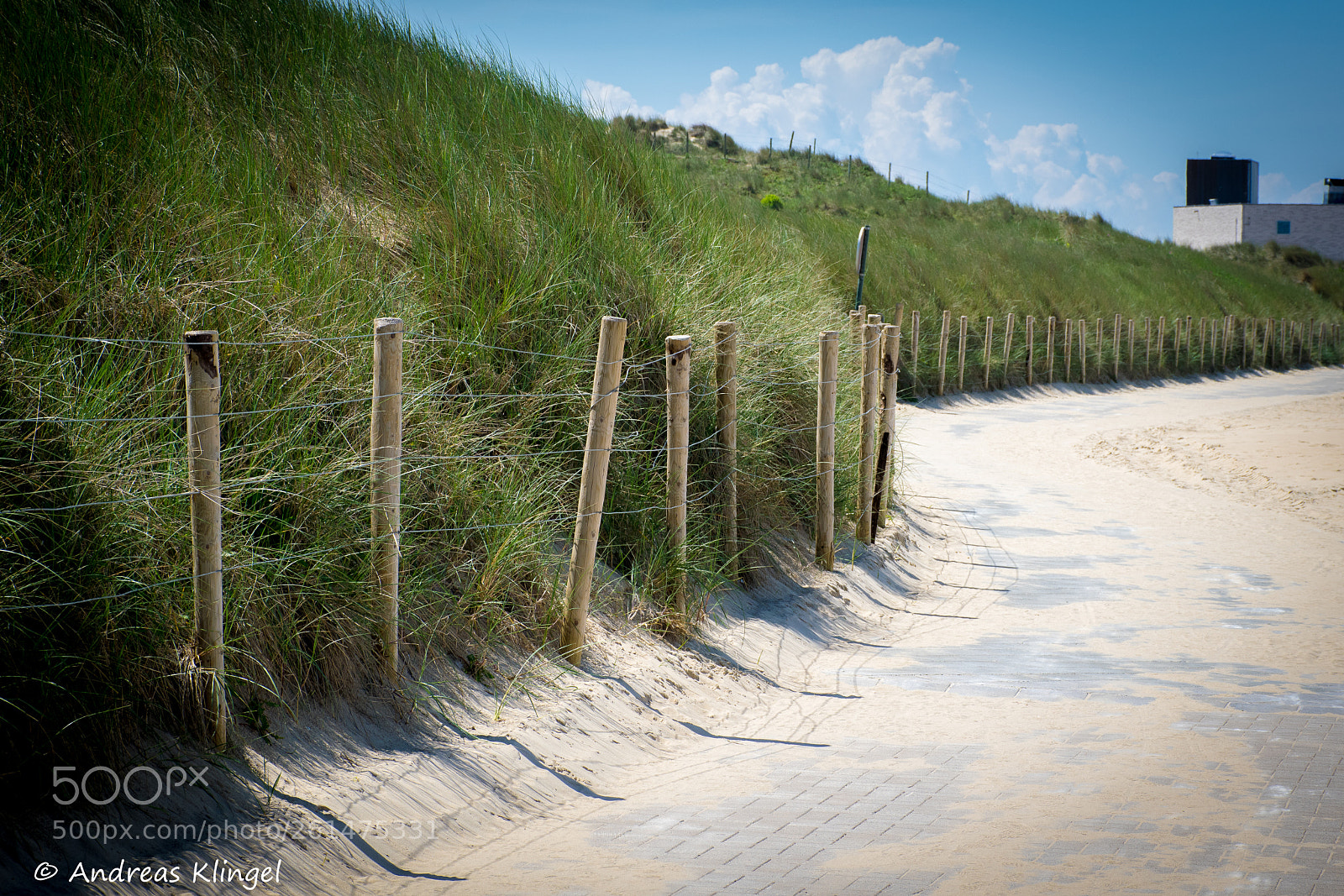 Nikon D5300 sample photo. Way photography