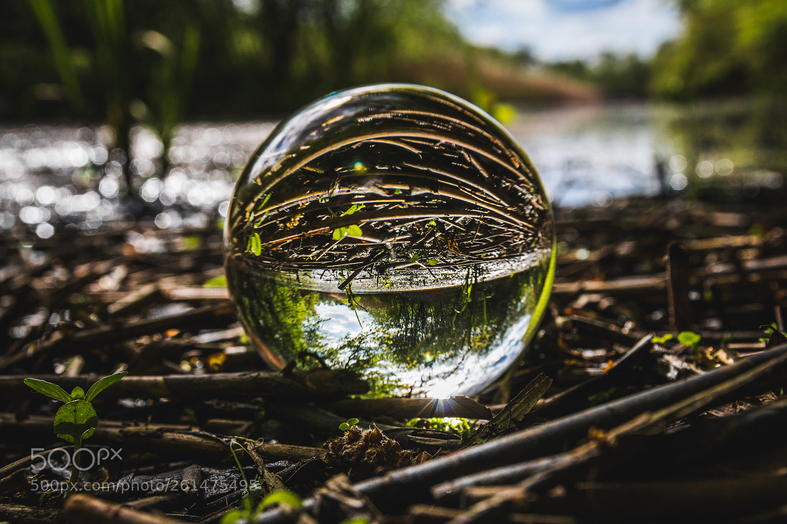 Canon EOS 700D (EOS Rebel T5i / EOS Kiss X7i) sample photo. Nature in lensball photography