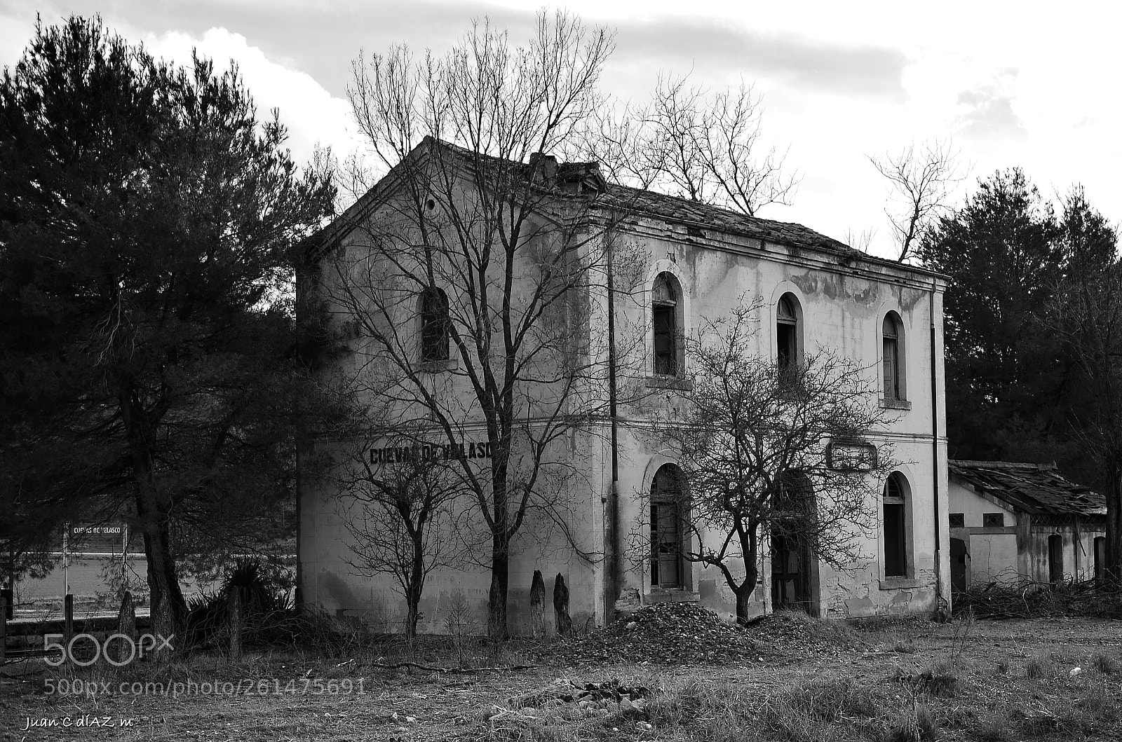 Nikon D5100 sample photo. Estacion photography