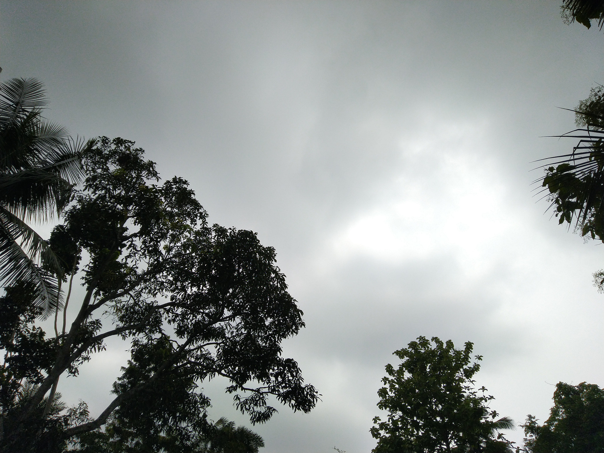 ASUS ZenFone Max Pro M1 (ZB602KL) (WW) / Max Pro M1 (ZB601KL) (IN) sample photo