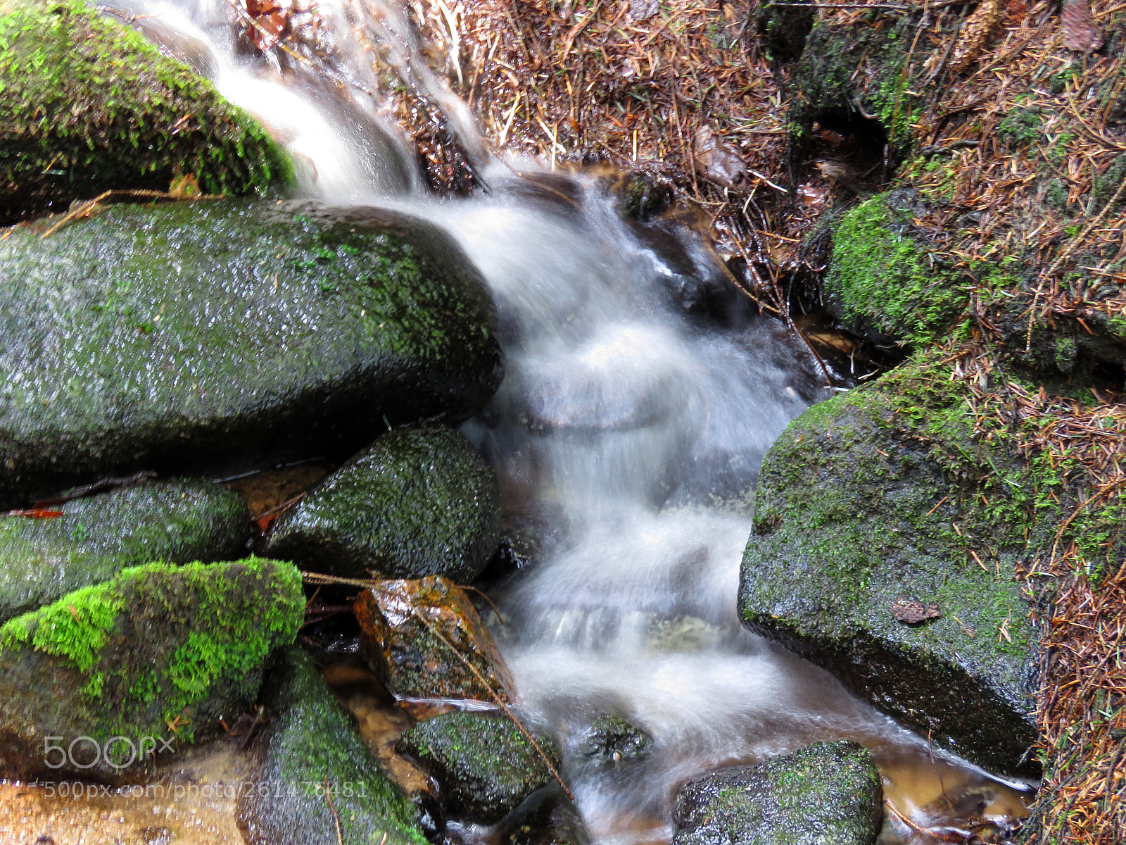 Canon PowerShot SX60 HS sample photo. Petit ruisseau photography