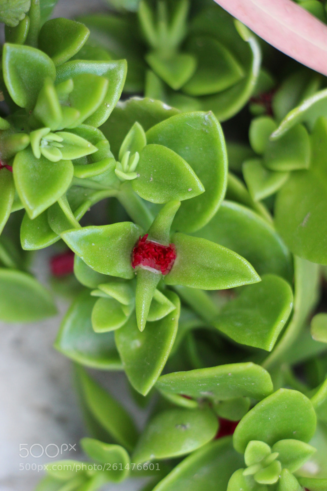 Canon EOS 700D (EOS Rebel T5i / EOS Kiss X7i) sample photo. Untitled photography