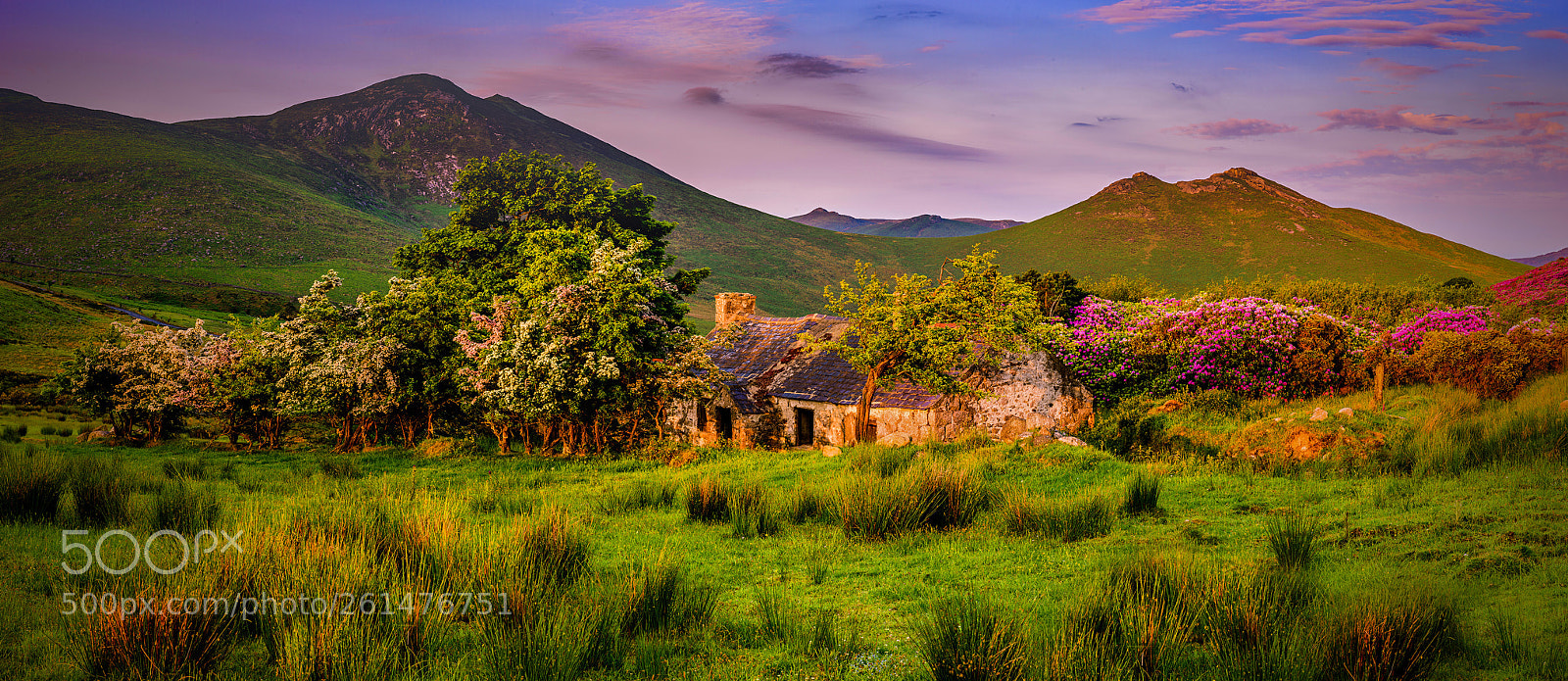Nikon D810 sample photo. Mourne cottage photography